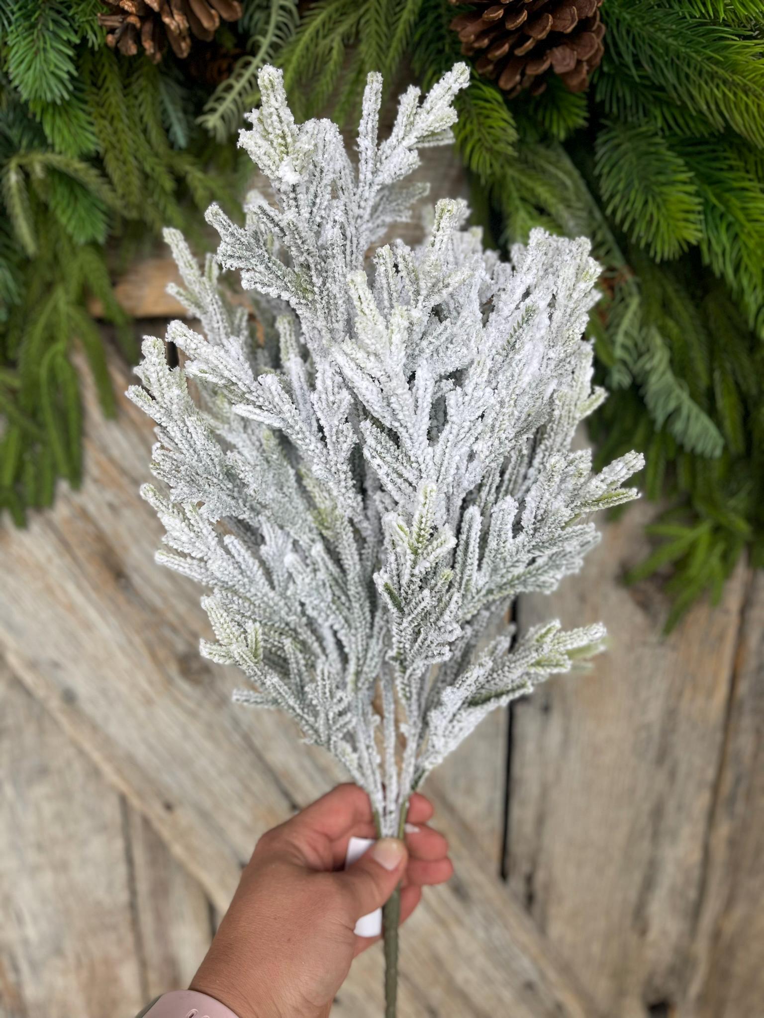 20" Flocked Pine Bush, Flocked Pine Bush, Flocked Greenery