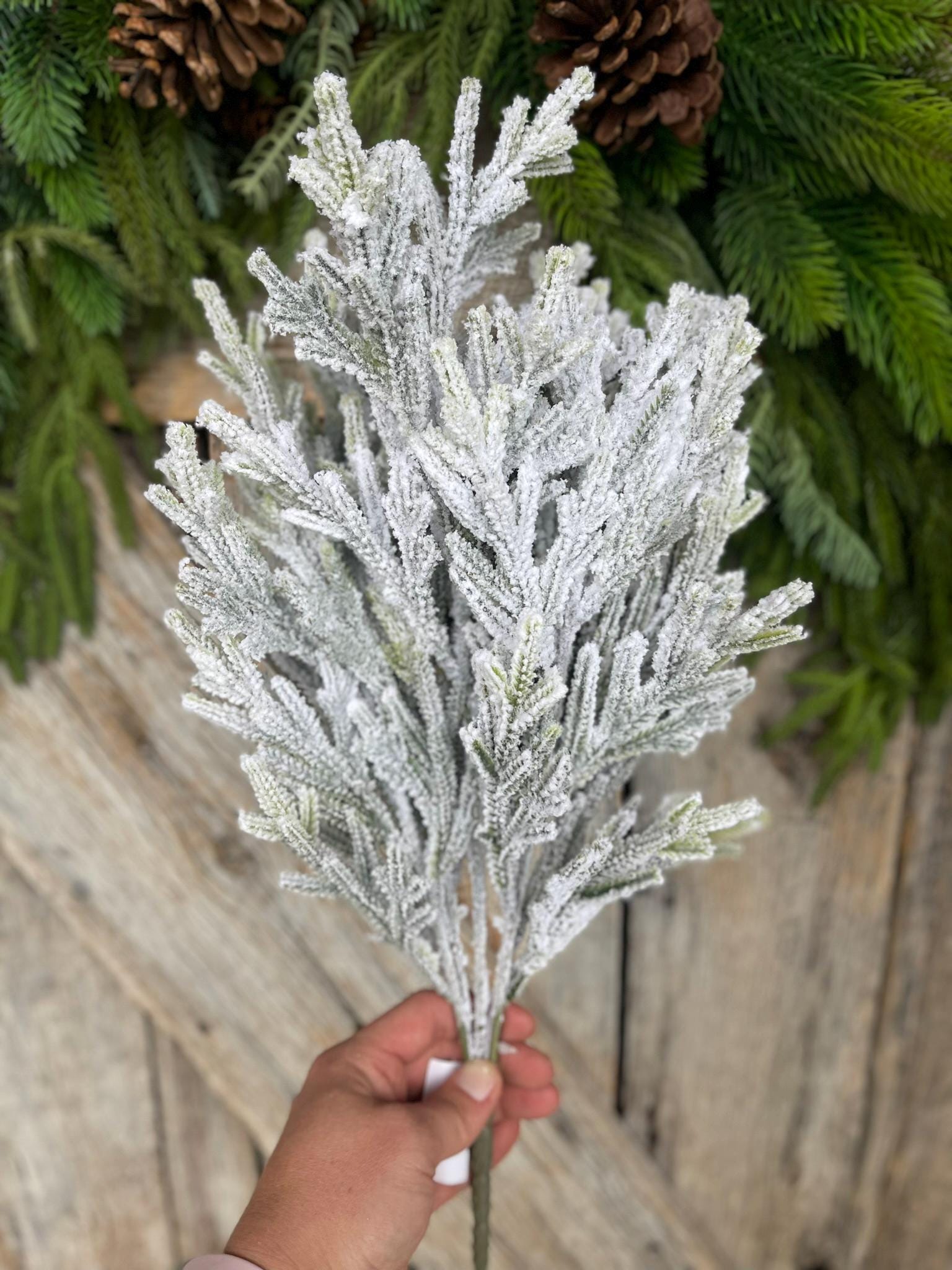 20" Flocked Pine Bush, Flocked Pine Bush, Flocked Greenery