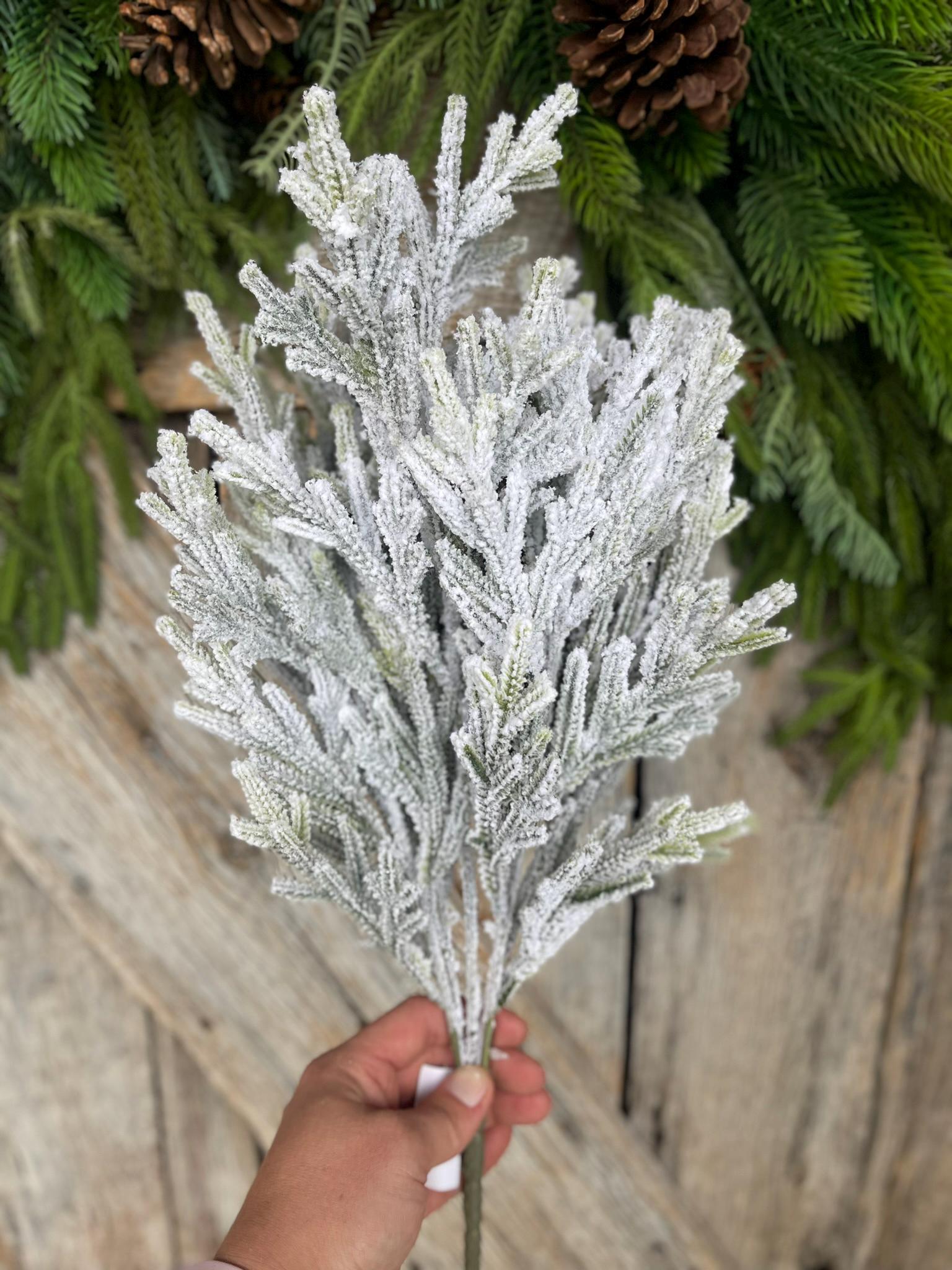 20" Flocked Pine Bush, Flocked Pine Bush, Flocked Greenery