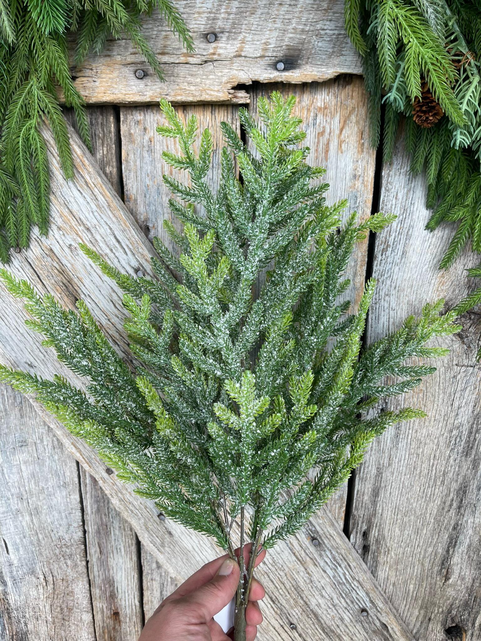21" Norfolk Iced Pine Spray, Real Touch Norfold Pine