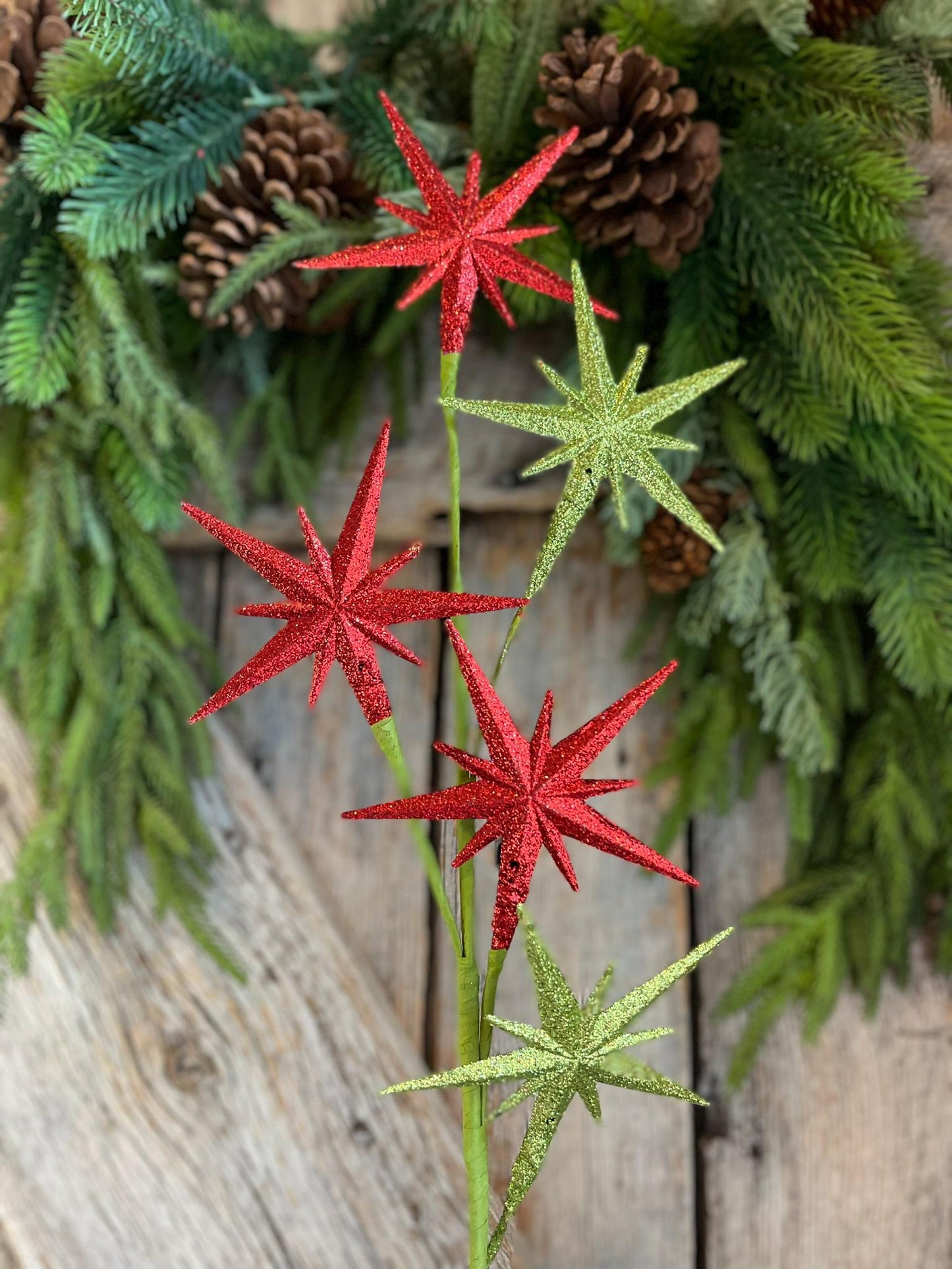 27" Bethlehem Star Spray, Red Green Star Spray, Christmas Tree Spray
