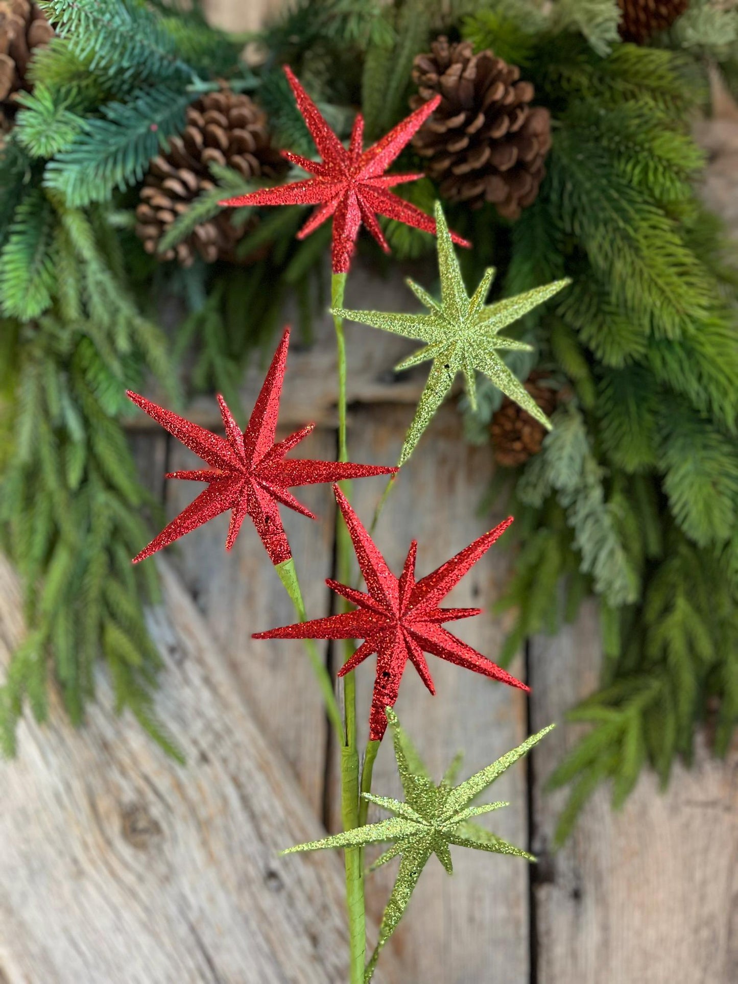 27" Bethlehem Star Spray, Red Green Star Spray, Christmas Tree Spray