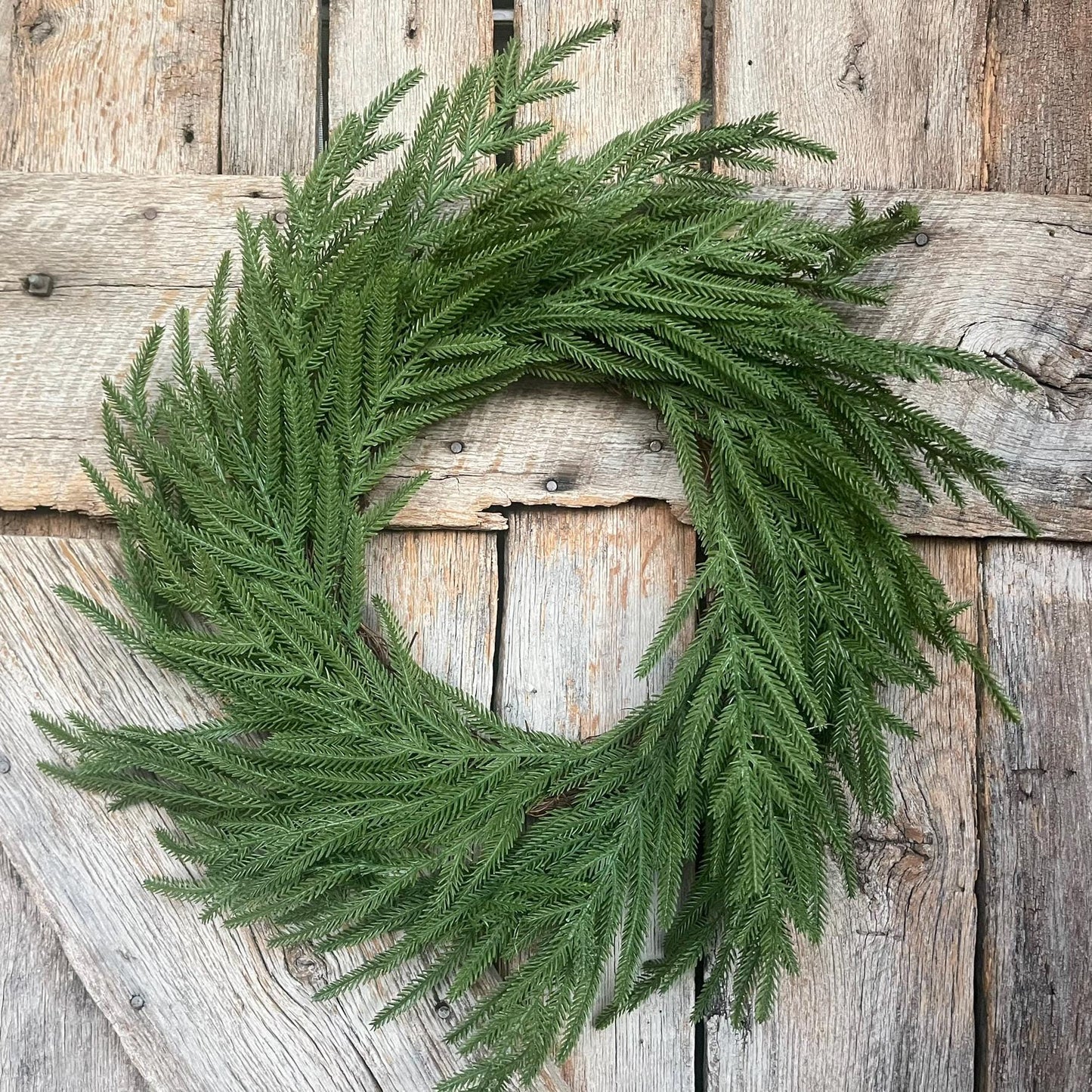 24" Norfolk Pine Wreath, Real Touch Norfolk Pine Wreath, Artificial Pine Wreath