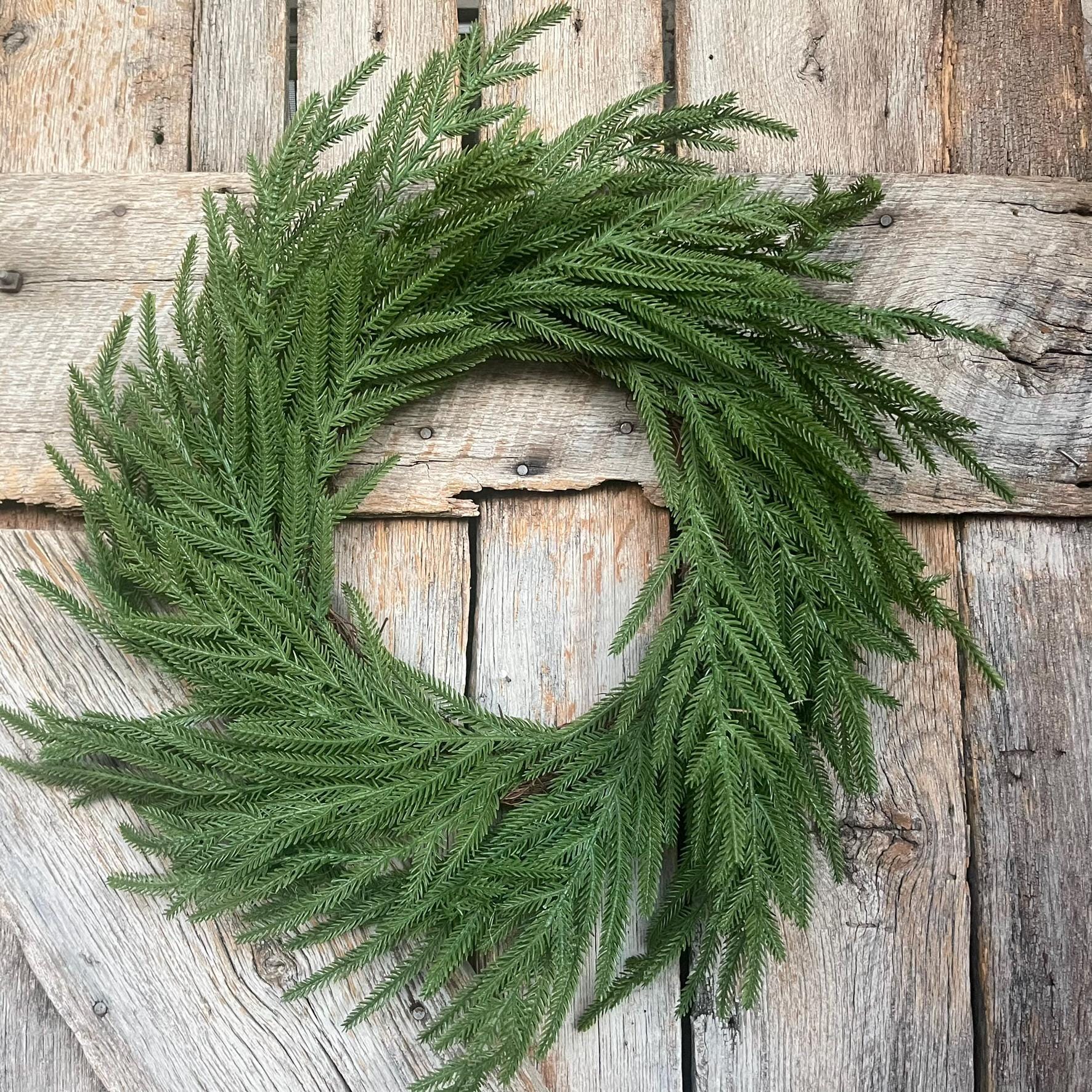 24" Norfolk Pine Wreath, Real Touch Norfolk Pine Wreath, Artificial Pine Wreath