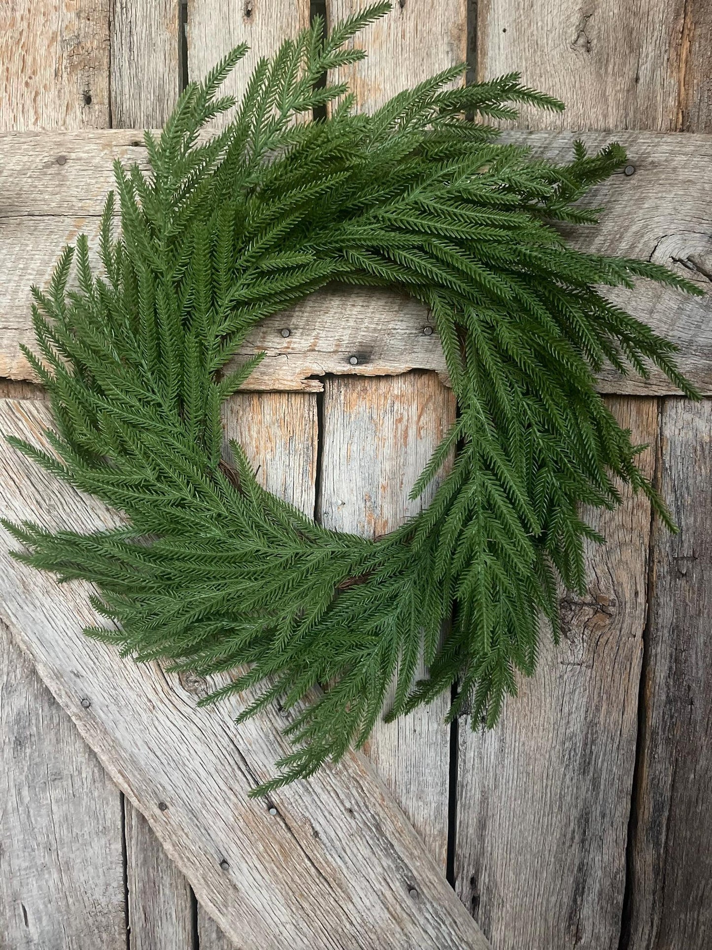 24" Norfolk Pine Wreath, Real Touch Norfolk Pine Wreath, Artificial Pine Wreath