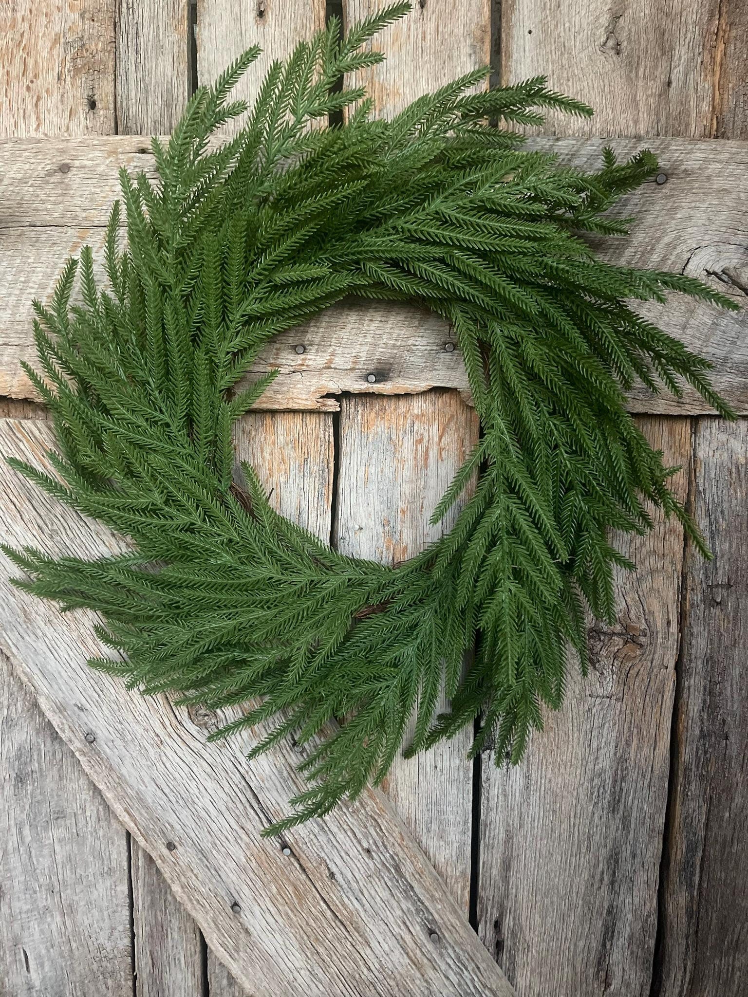 24" Norfolk Pine Wreath, Real Touch Norfolk Pine Wreath, Artificial Pine Wreath