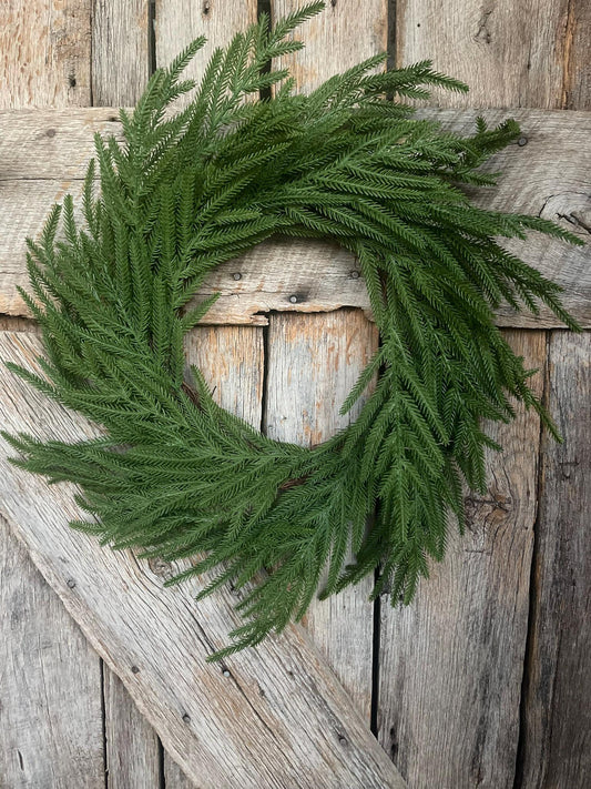 24" Norfolk Pine Wreath, Real Touch Norfolk Pine Wreath, Artificial Pine Wreath