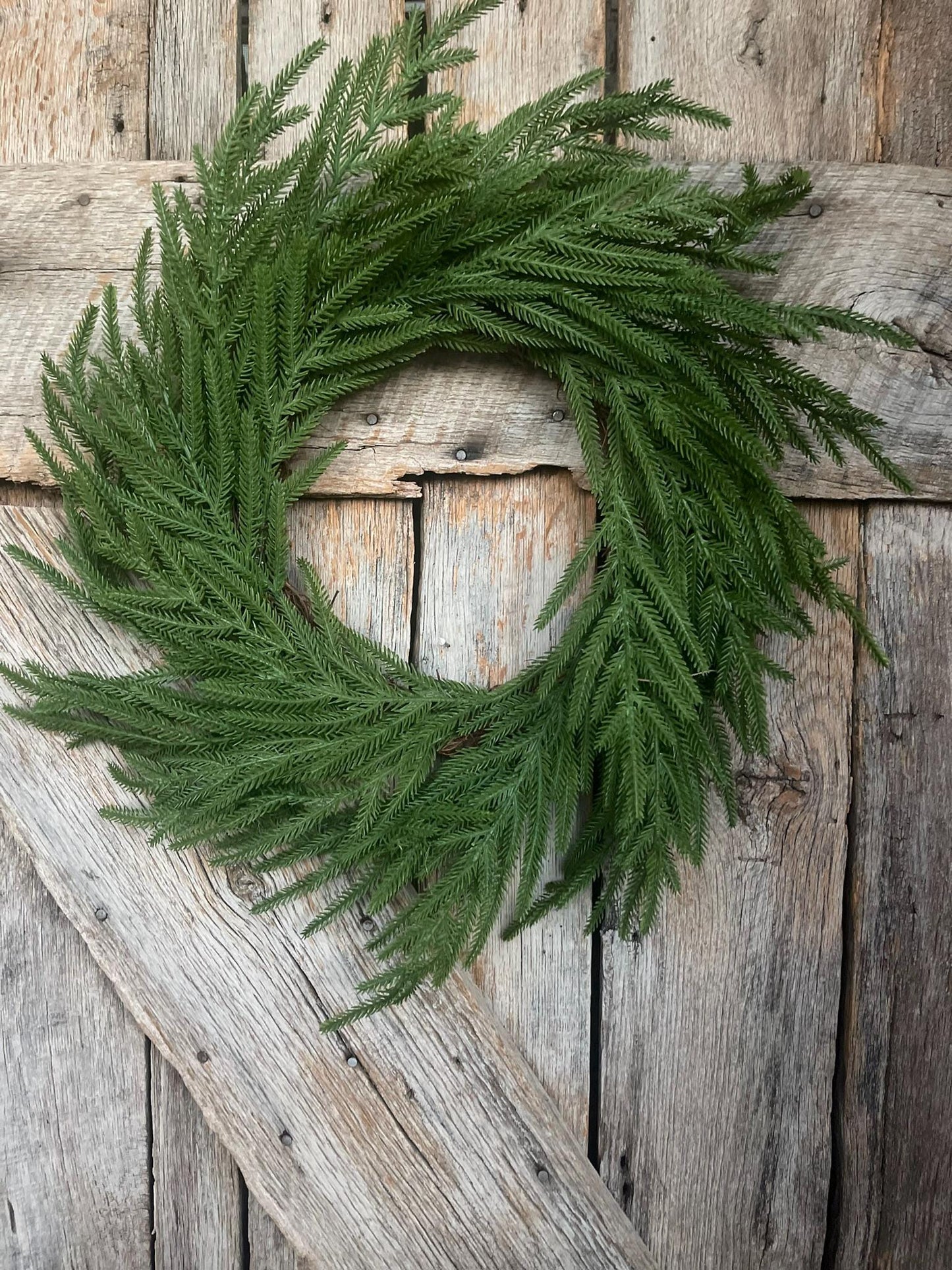 24" Norfolk Pine Wreath, Real Touch Norfolk Pine Wreath, Artificial Pine Wreath
