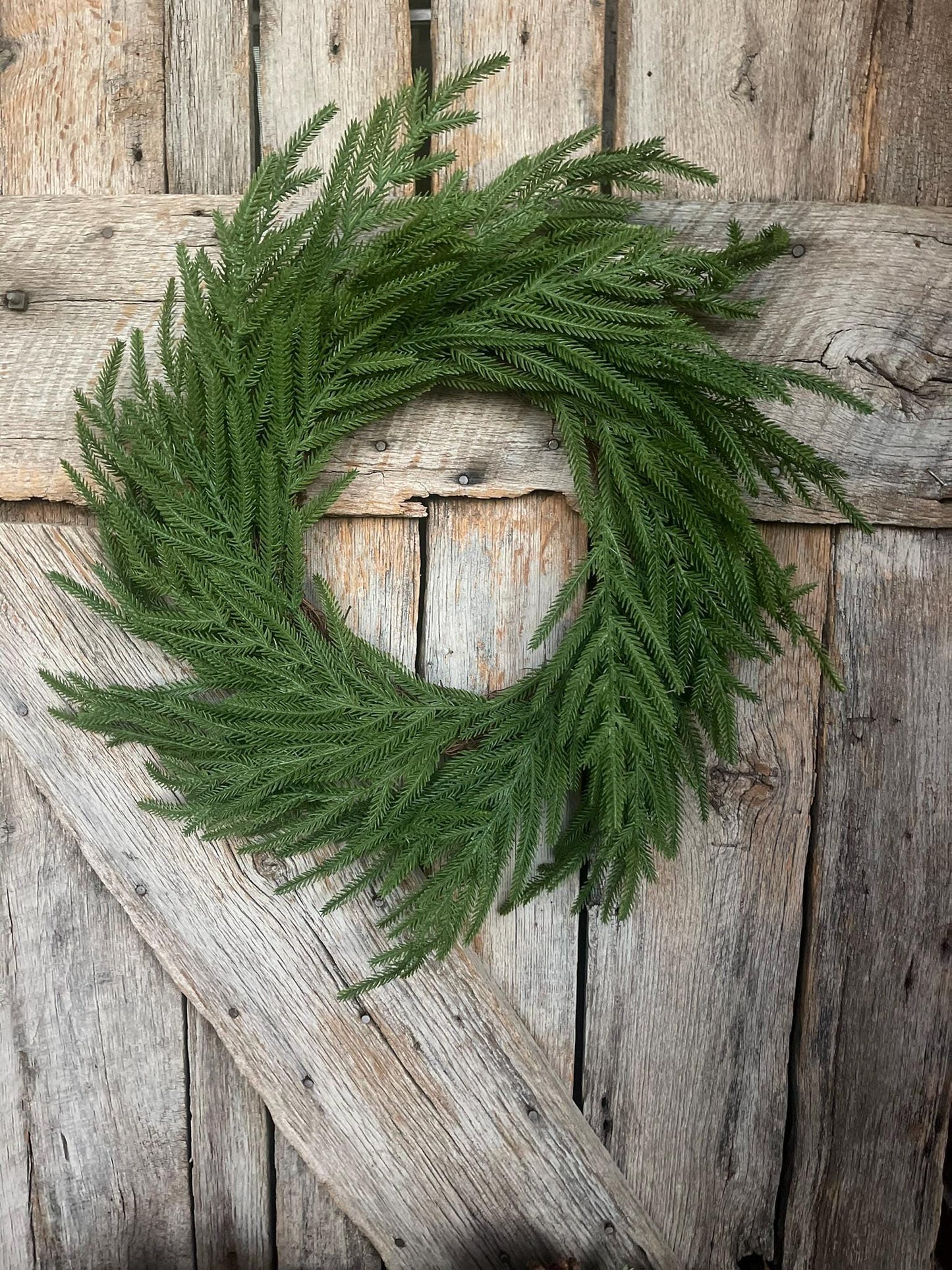 24" Norfolk Pine Wreath, Real Touch Norfolk Pine Wreath, Artificial Pine Wreath