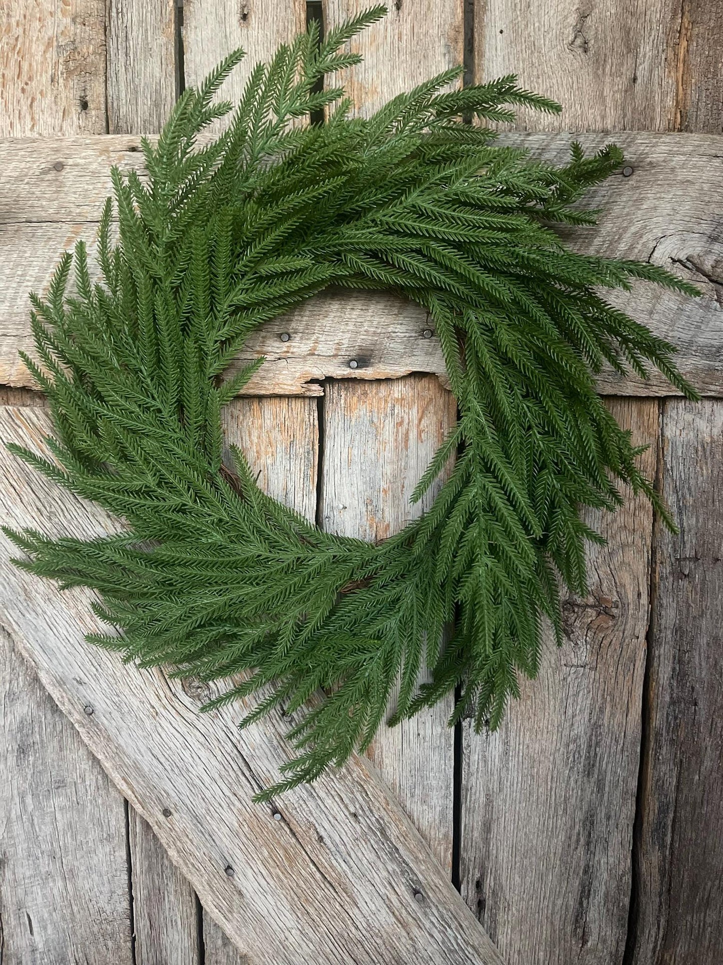 24" Norfolk Pine Wreath, Real Touch Norfolk Pine Wreath, Artificial Pine Wreath