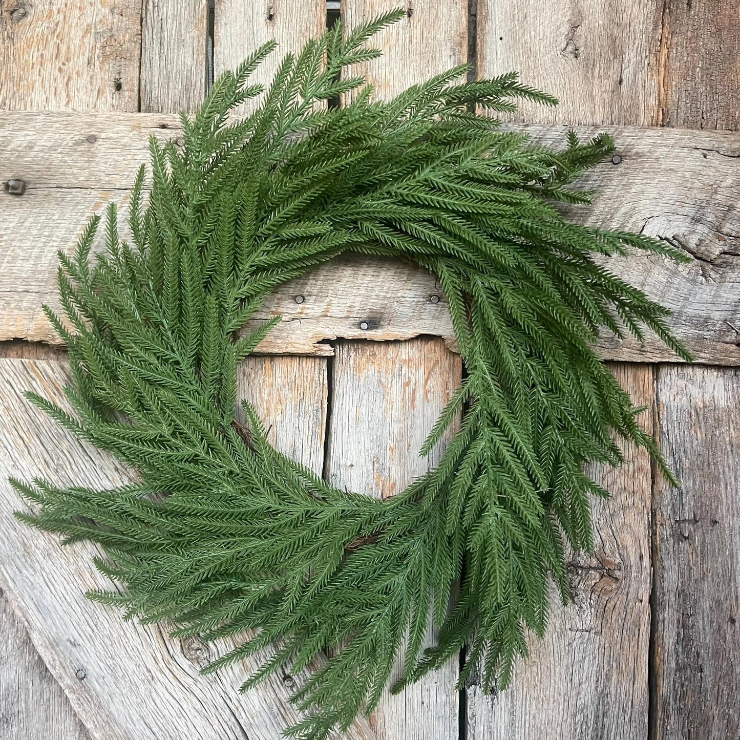 24" Norfolk Pine Wreath, Real Touch Norfolk Pine Wreath, Artificial Pine Wreath