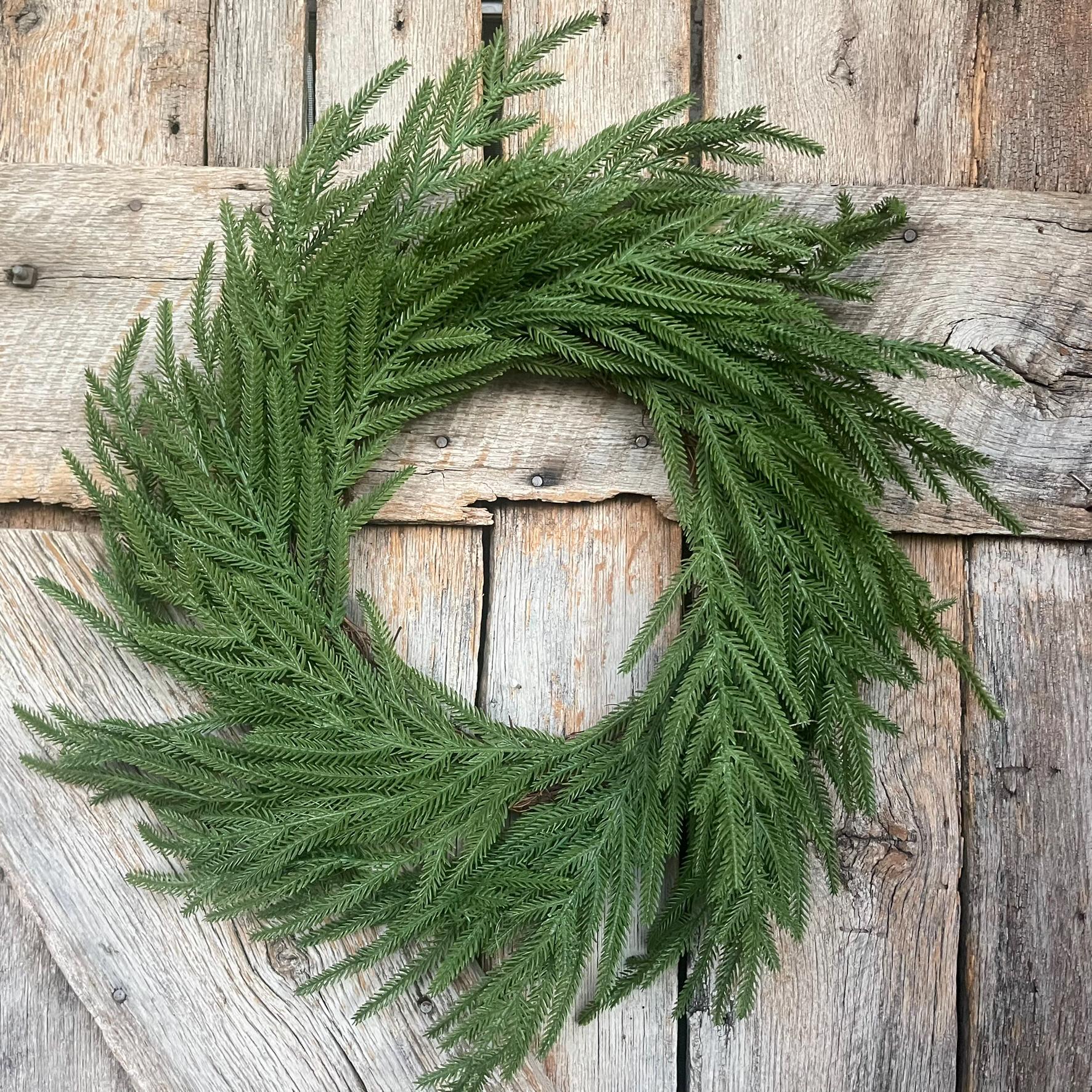 24" Norfolk Pine Wreath, Real Touch Norfolk Pine Wreath, Artificial Pine Wreath