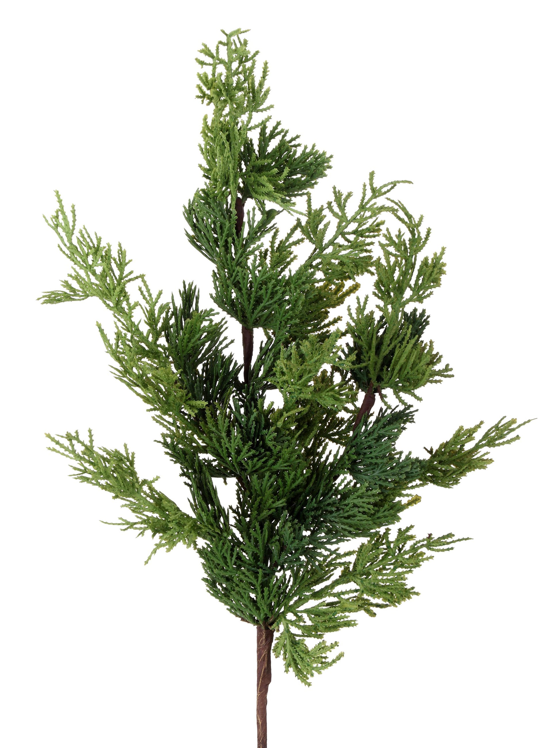24" Cedar Spray, Christmas Cedar Spray, Christmas Greenery spray