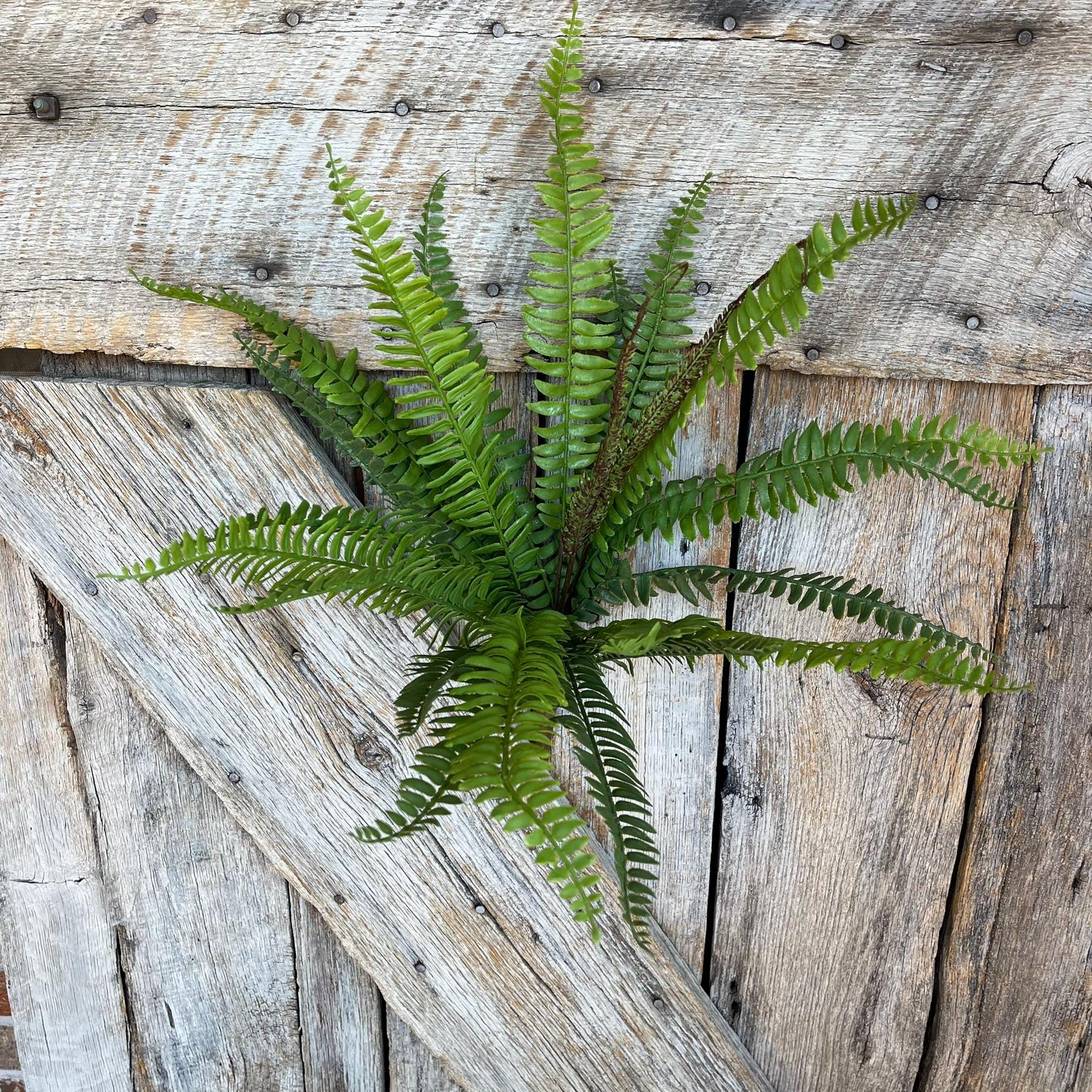 22" Real Touch Fern Bush Greenery, UV PRotected Fern Bush, Greenery Bush, Plastic Greenery Bush, 84822-UV