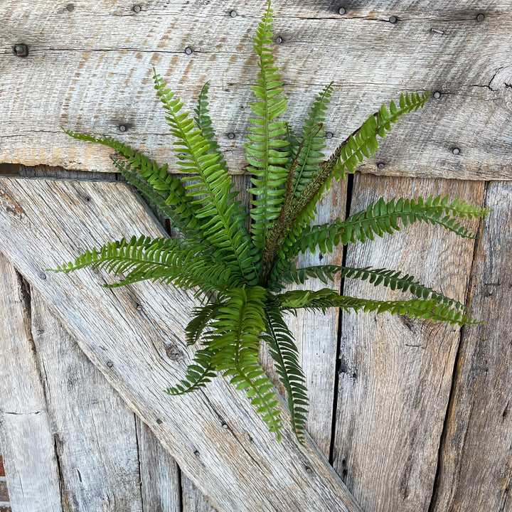 22" Real Touch Fern Bush Greenery, UV PRotected Fern Bush, Greenery Bush