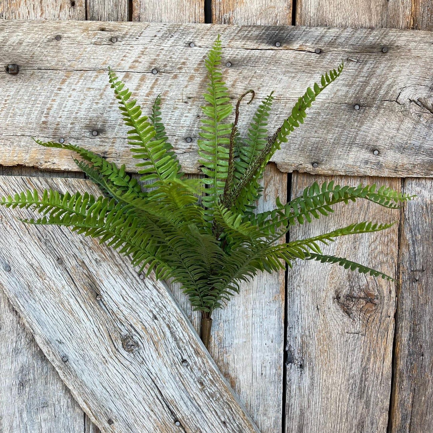 22" Real Touch Fern Bush Greenery, UV PRotected Fern Bush, Greenery Bush, Plastic Greenery Bush, 84822-UV