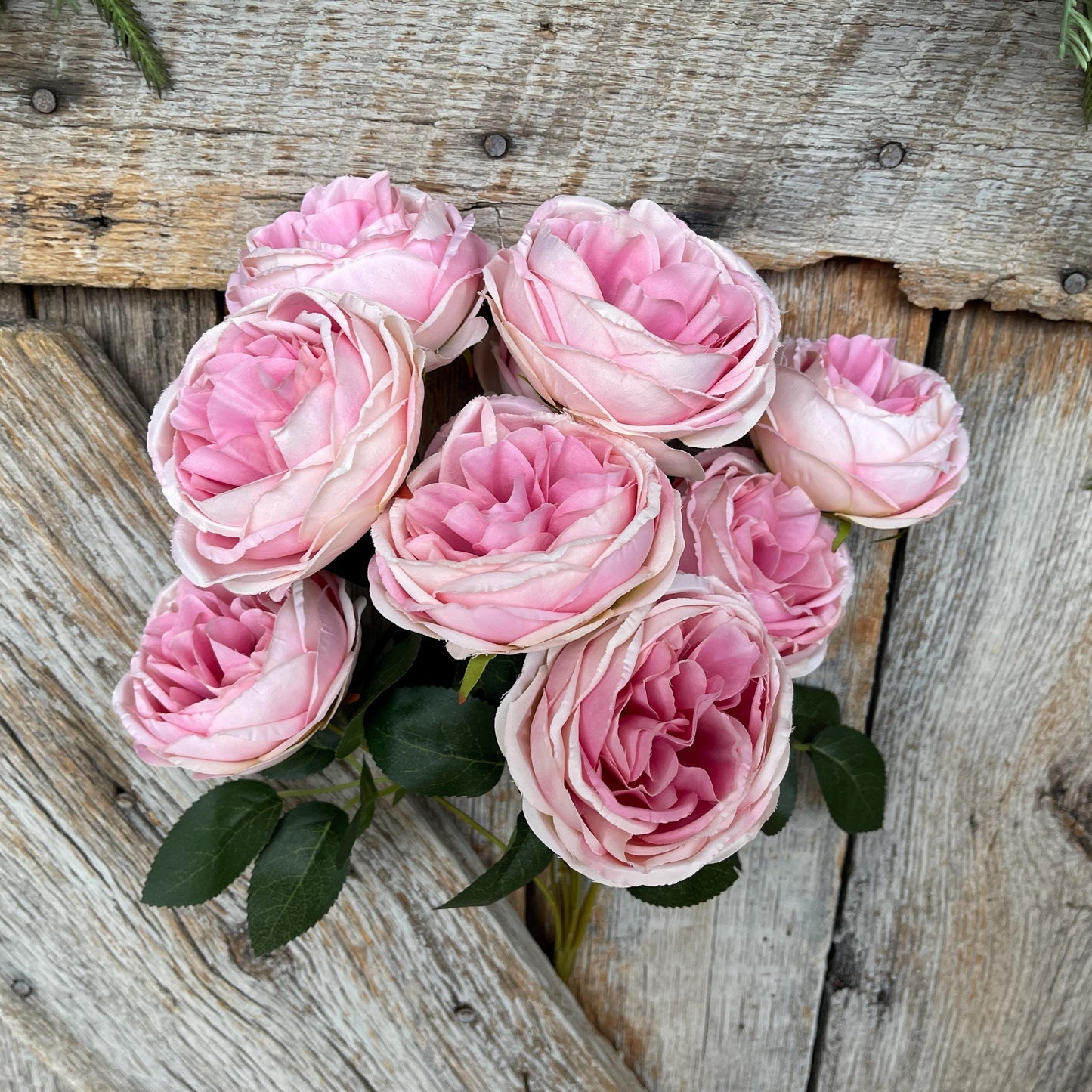 17.5" Pink cabbage rose bush, Pink Rose, Artificial Pink Rose Bush