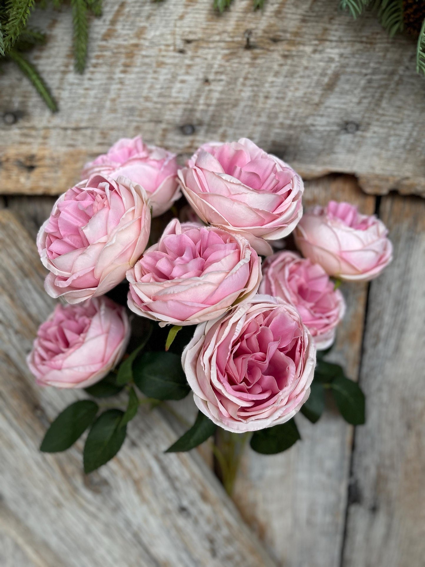 17.5" Pink cabbage rose bush, Pink Rose, Artificial Pink Rose Bush