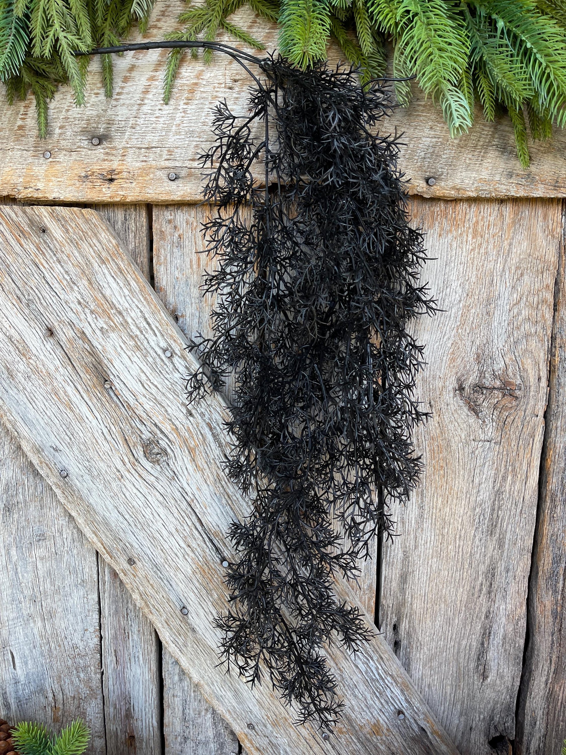 32" Black Hanging Cedar Bush, Halloween Greenery Bush, Hanging Halloween Bush, Black Greenery, Black Hanging Greenery, 57101BK