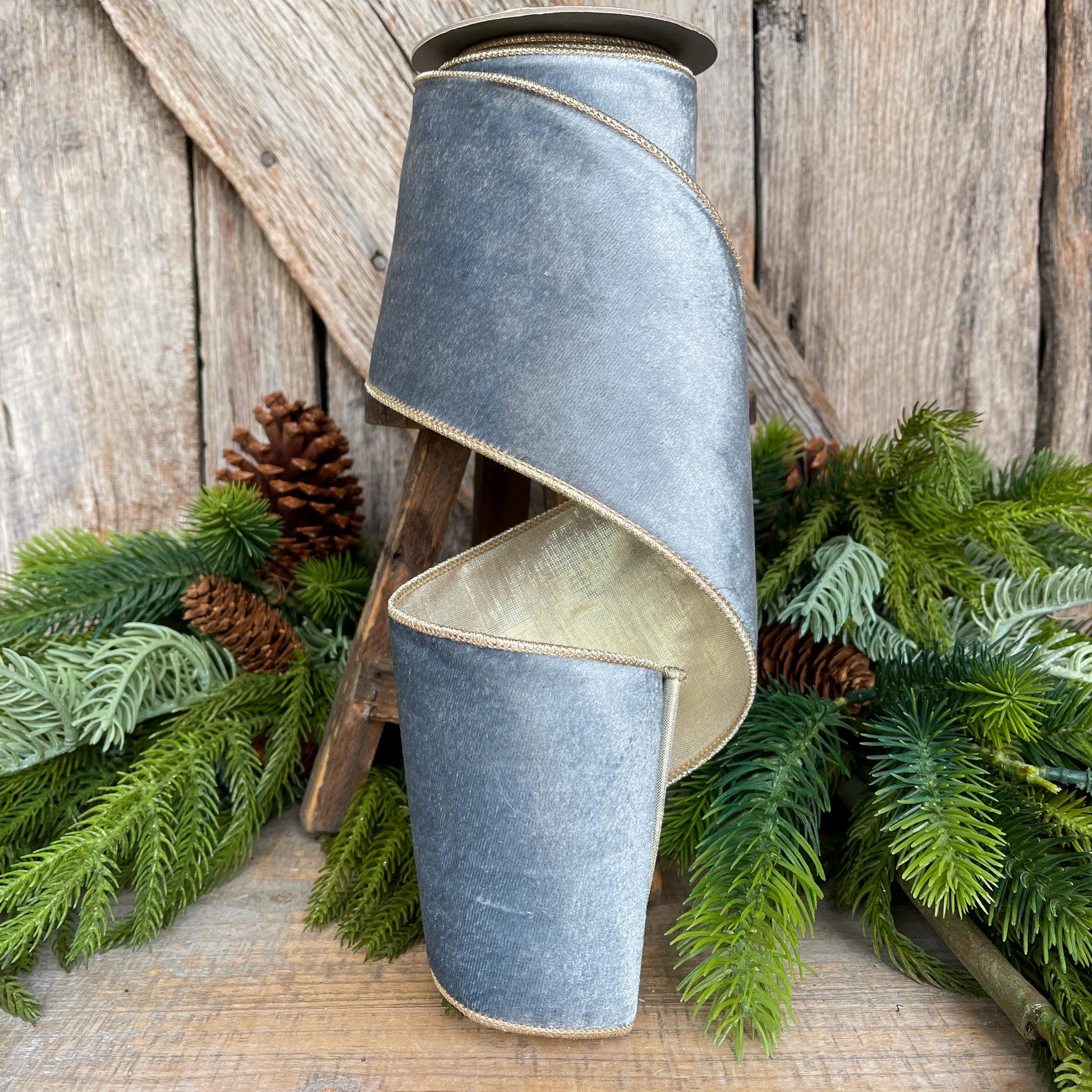 Picture taken outside with natural lighting, no artifical light or post-editing.