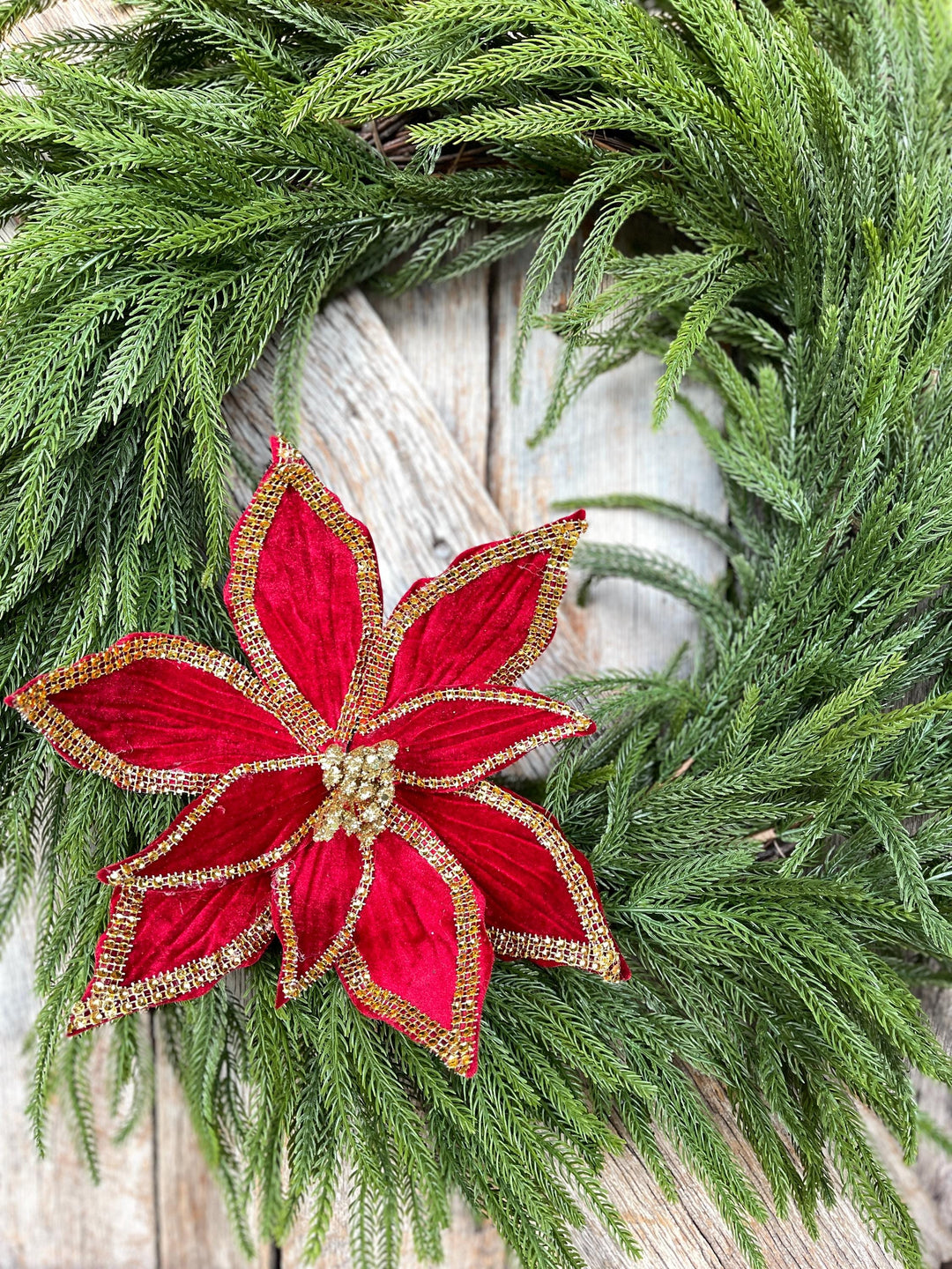 Red Velvet Poinsettia with Gold Trim - Christmas Tree Floral Decor