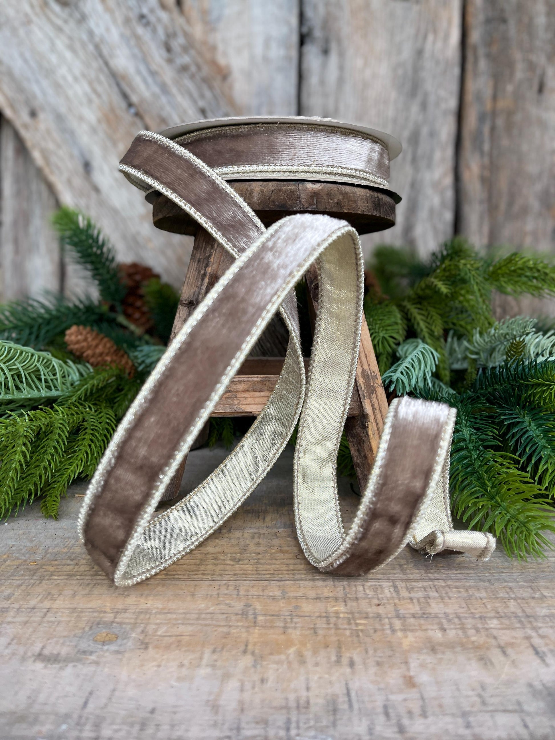 1" Platinum Velvet Sheen Ribbon, Farrisilk Ribbon, Wired Ribbon, Platinum Velvet Ribbon, Champagne Gold Velvet, Christmas Ribbon, RK466-51