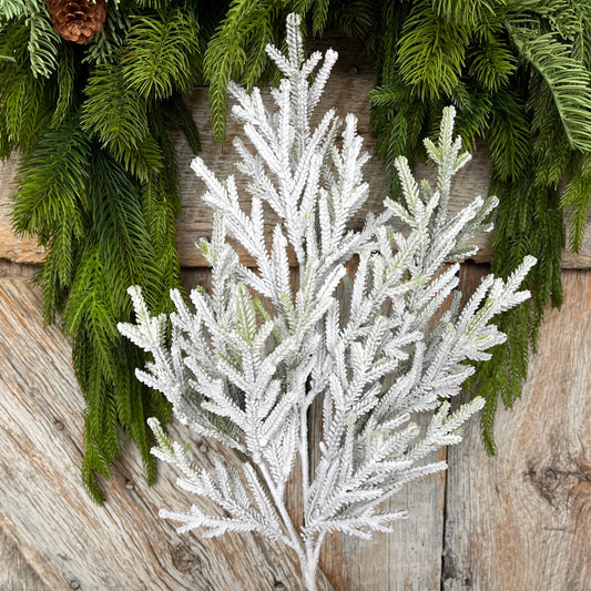 24" Flocked Norfolk Pine Spray, Flocked Pine Spray, Flocked Greenery