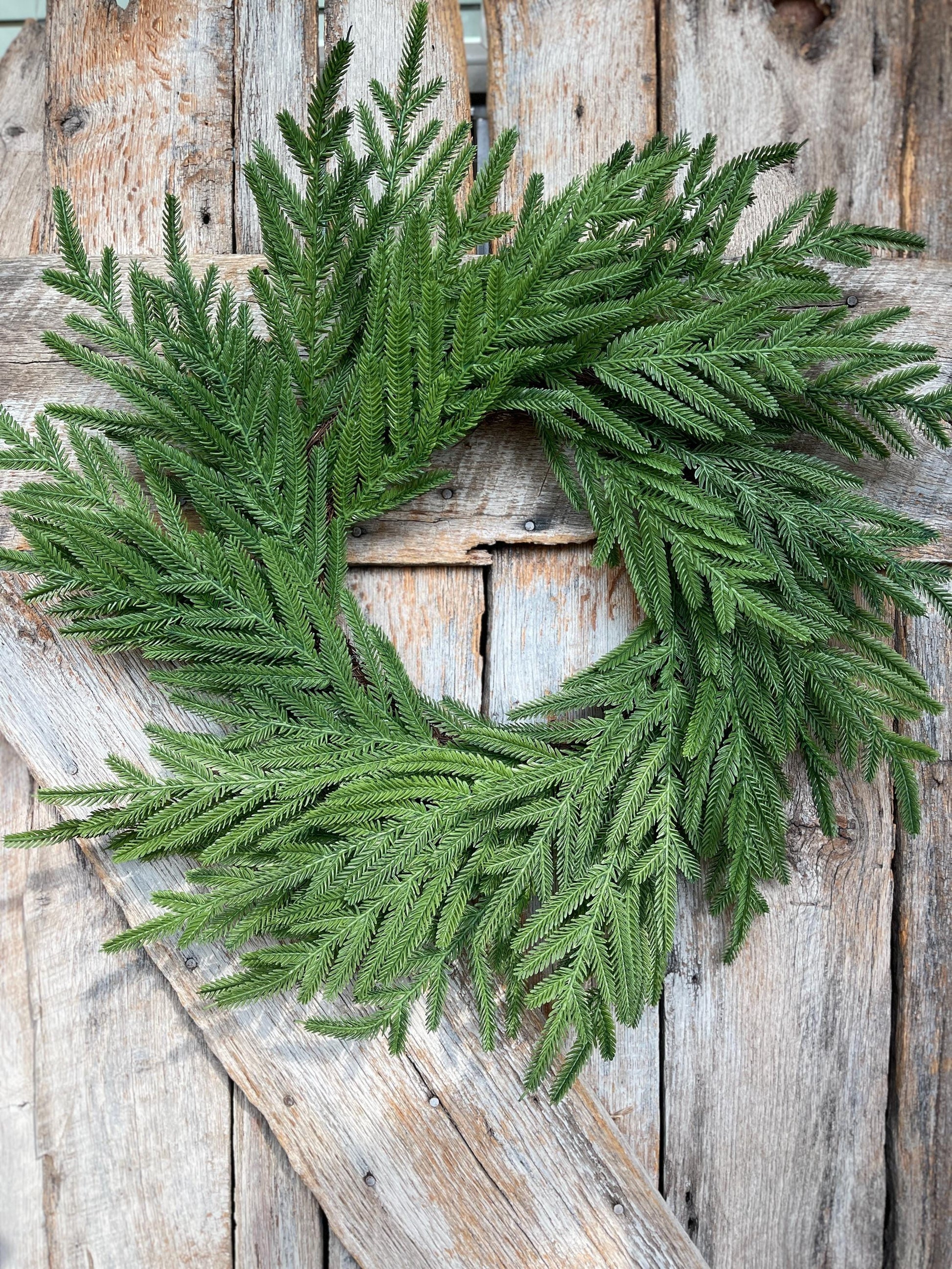 24" Norfolk Pine Wreath, Real Touch Norfolk Pine Wreath, Artificial Pine Wreath