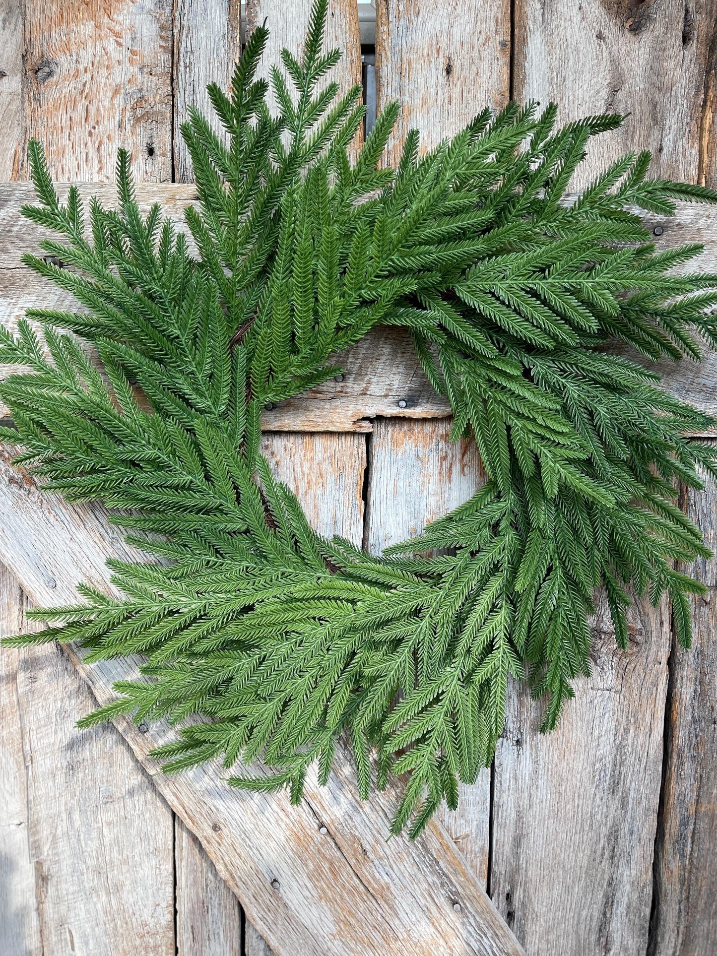 24" Norfolk Pine Wreath, Real Touch Norfolk Pine Wreath, Artificial Pine Wreath