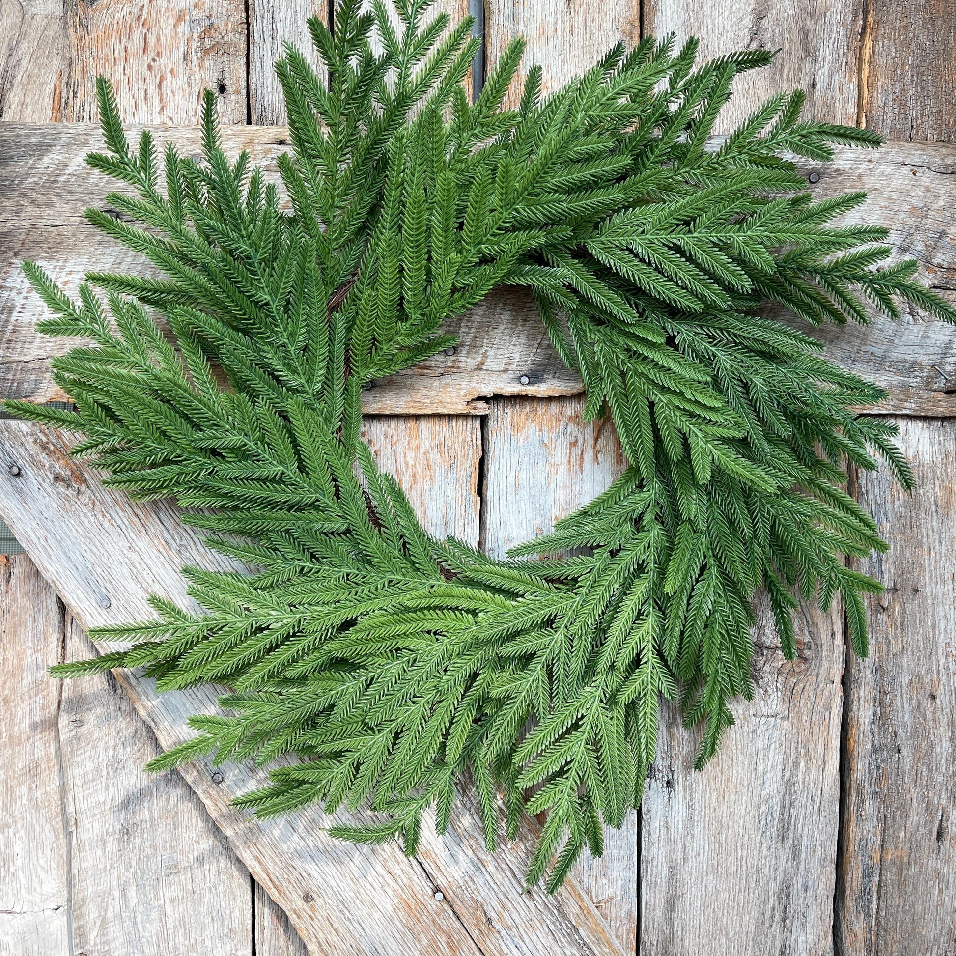 24" Norfolk Pine Wreath, Real Touch Norfolk Pine Wreath, Artificial Pine Wreath