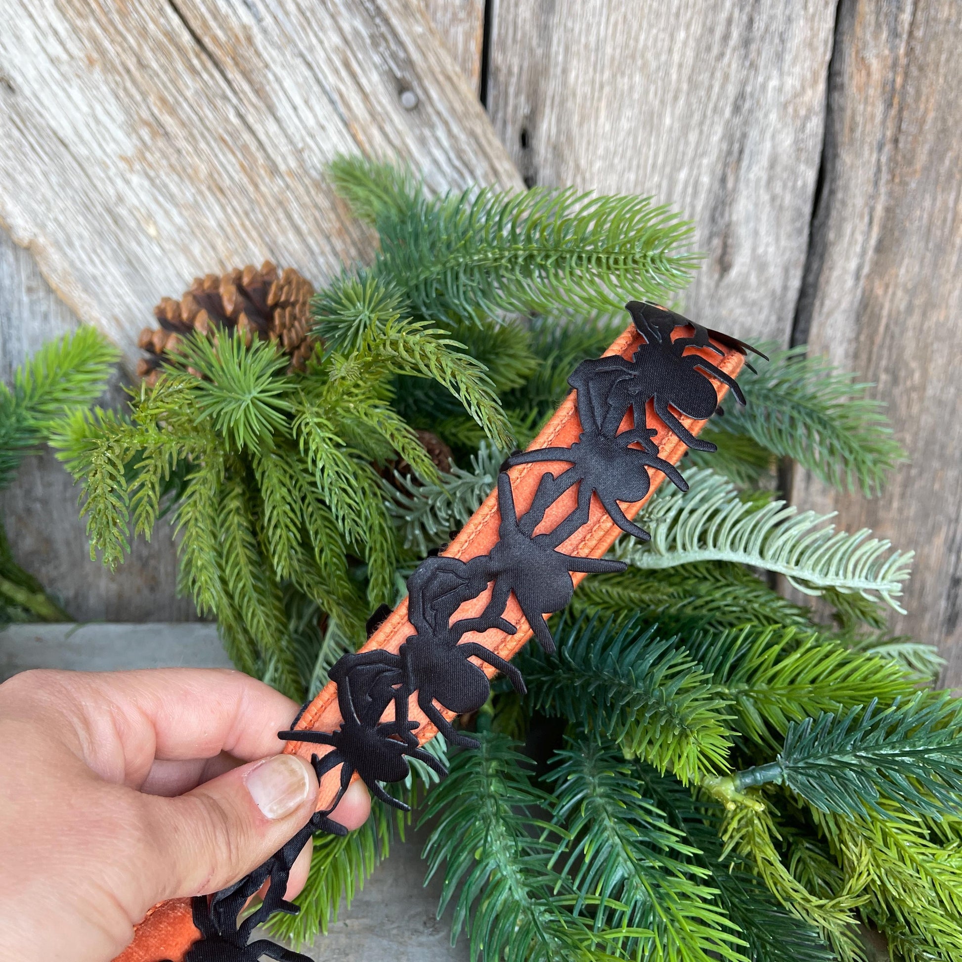 1.5" Spider Trim Ribbon, Halloween Trim Ribbon, Black Spider Trim