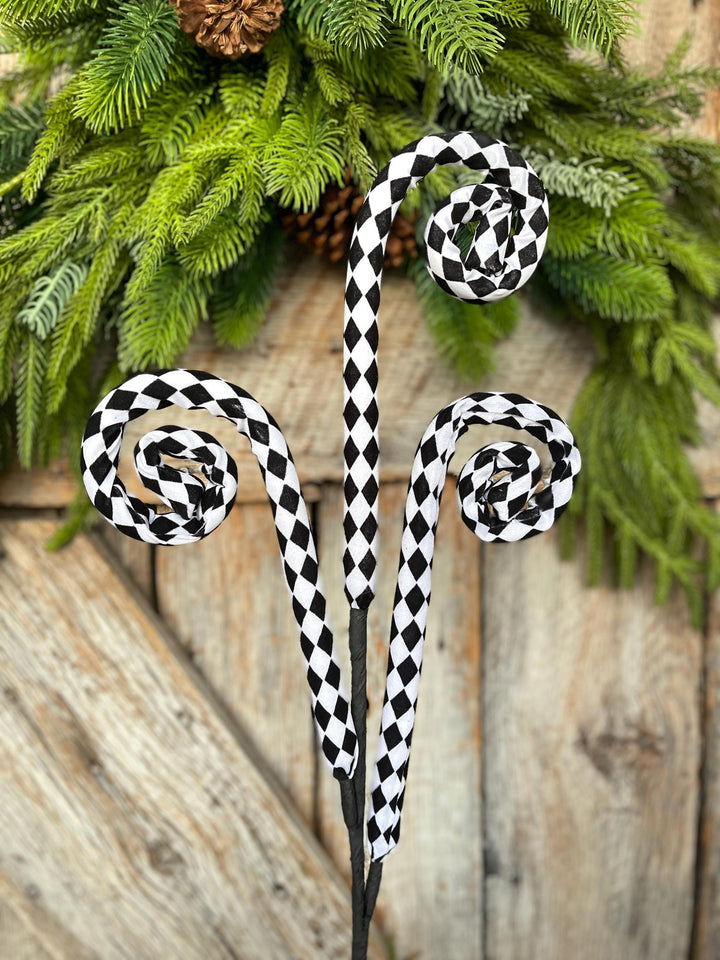 Harlequin Curly Spray: Black &amp; White Curly Stem - 30"