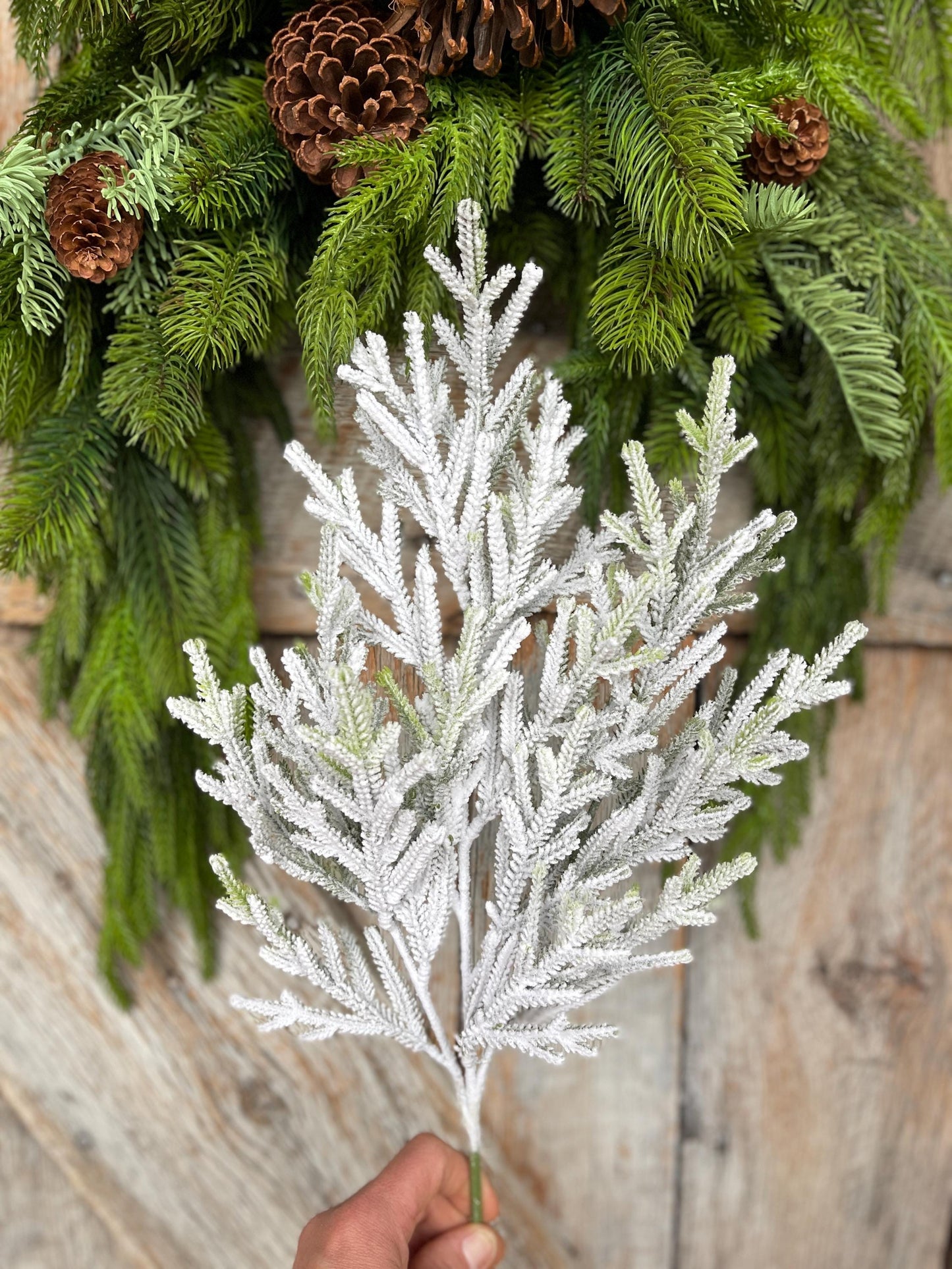 24" Flocked Norfolk Pine Spray, Flocked Pine Spray, Flocked Greenery, Christmas Spray, Flocked Christmas Spray