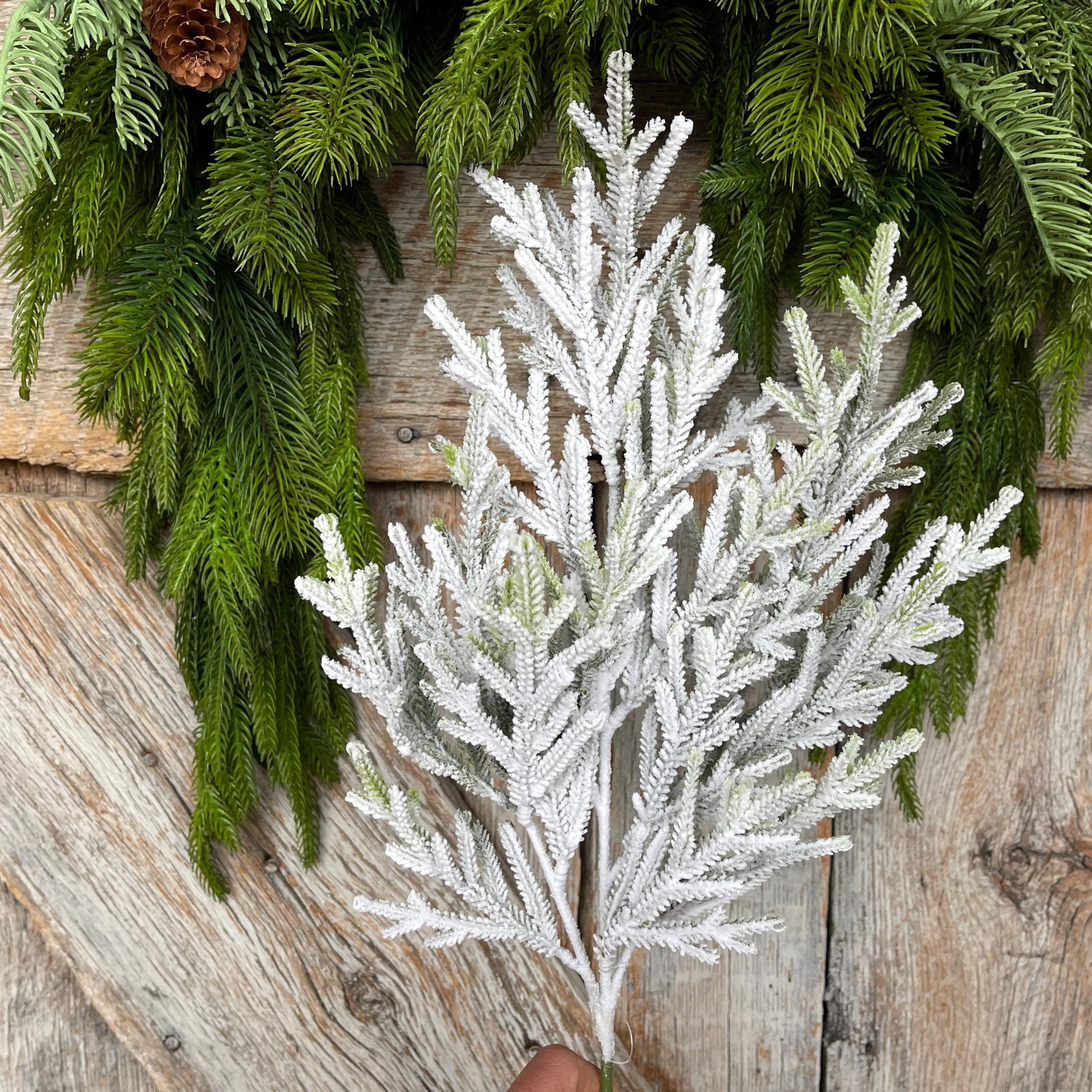 24" Flocked Norfolk Pine Spray, Flocked Pine Spray, Flocked Greenery, Christmas Spray, Flocked Christmas Spray