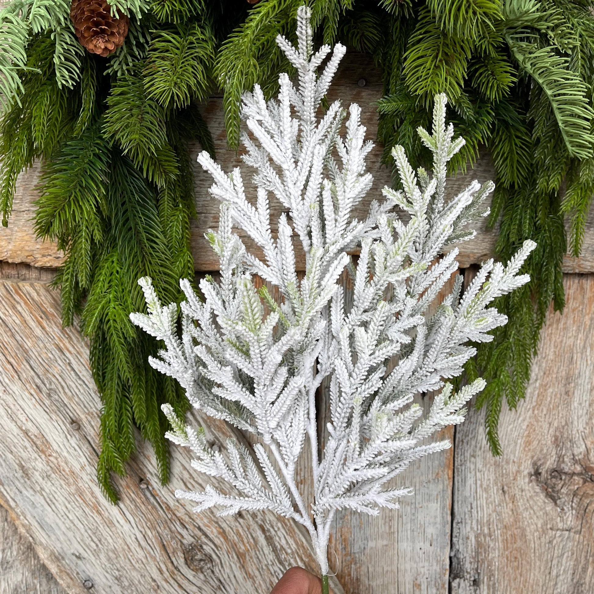 24" Flocked Norfolk Pine Spray, Flocked Pine Spray, Flocked Greenery, Christmas Spray, Flocked Christmas Spray