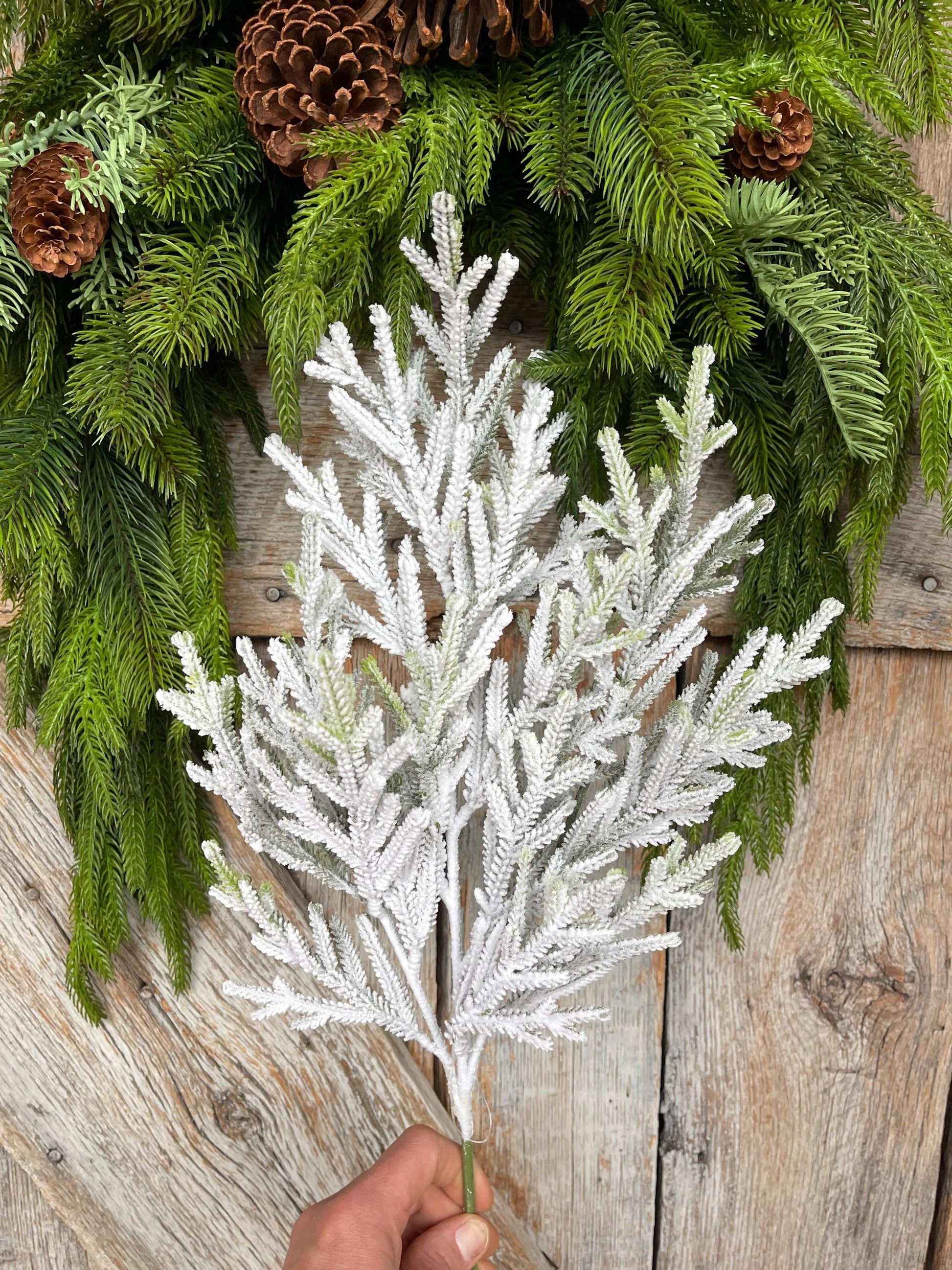 24" Flocked Norfolk Pine Spray, Flocked Pine Spray, Flocked Greenery, Christmas Spray, Flocked Christmas Spray