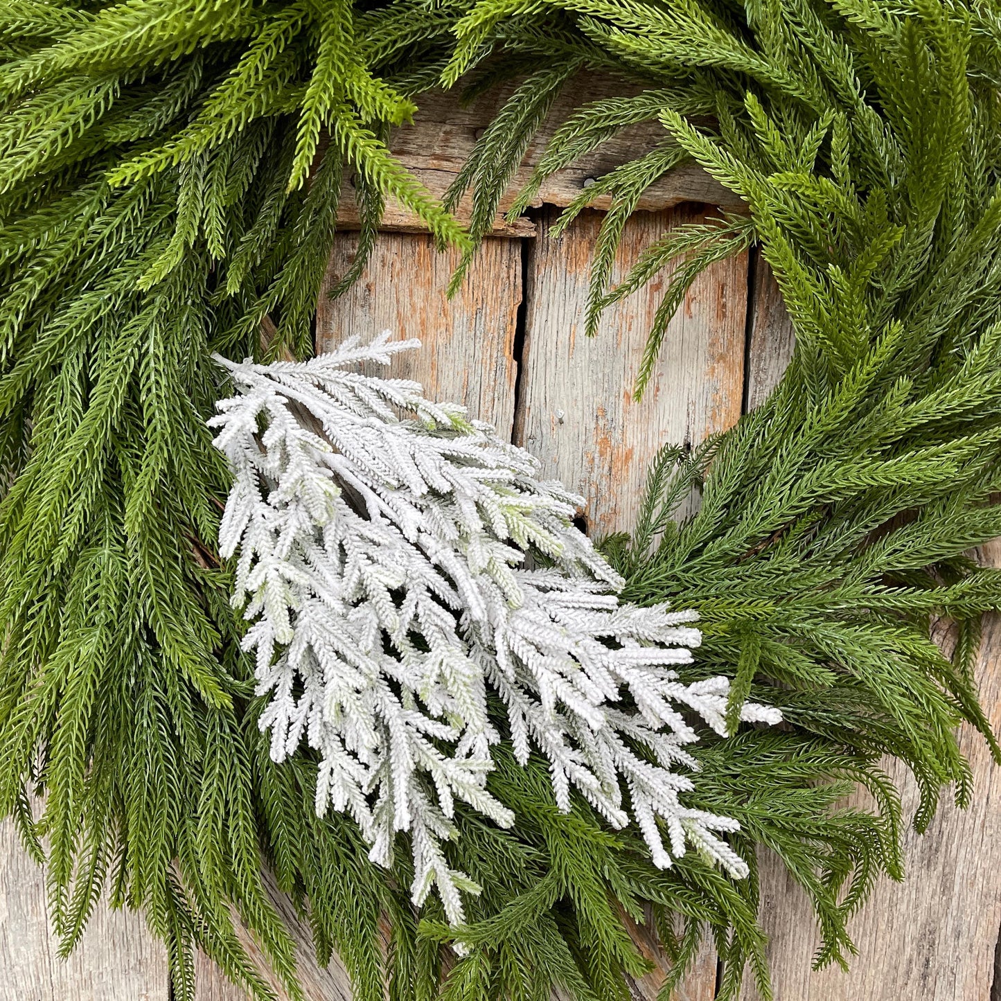 24" Flocked Norfolk Pine Spray, Flocked Pine Spray, Flocked Greenery, Christmas Spray, Flocked Christmas Spray