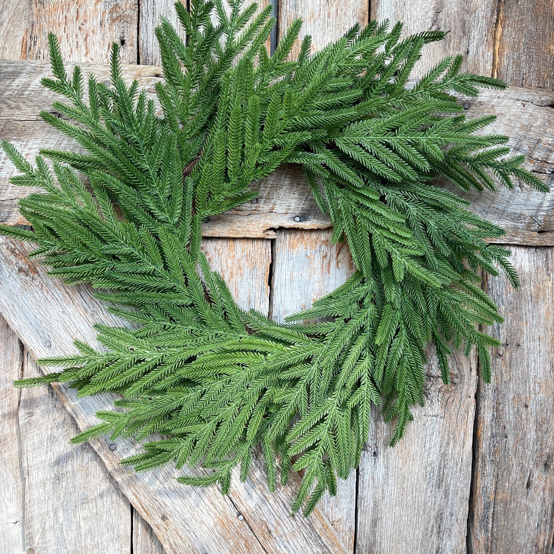 24" Norfolk Pine Wreath, Real Touch Norfolk Pine Wreath, Artificial Pine Wreath