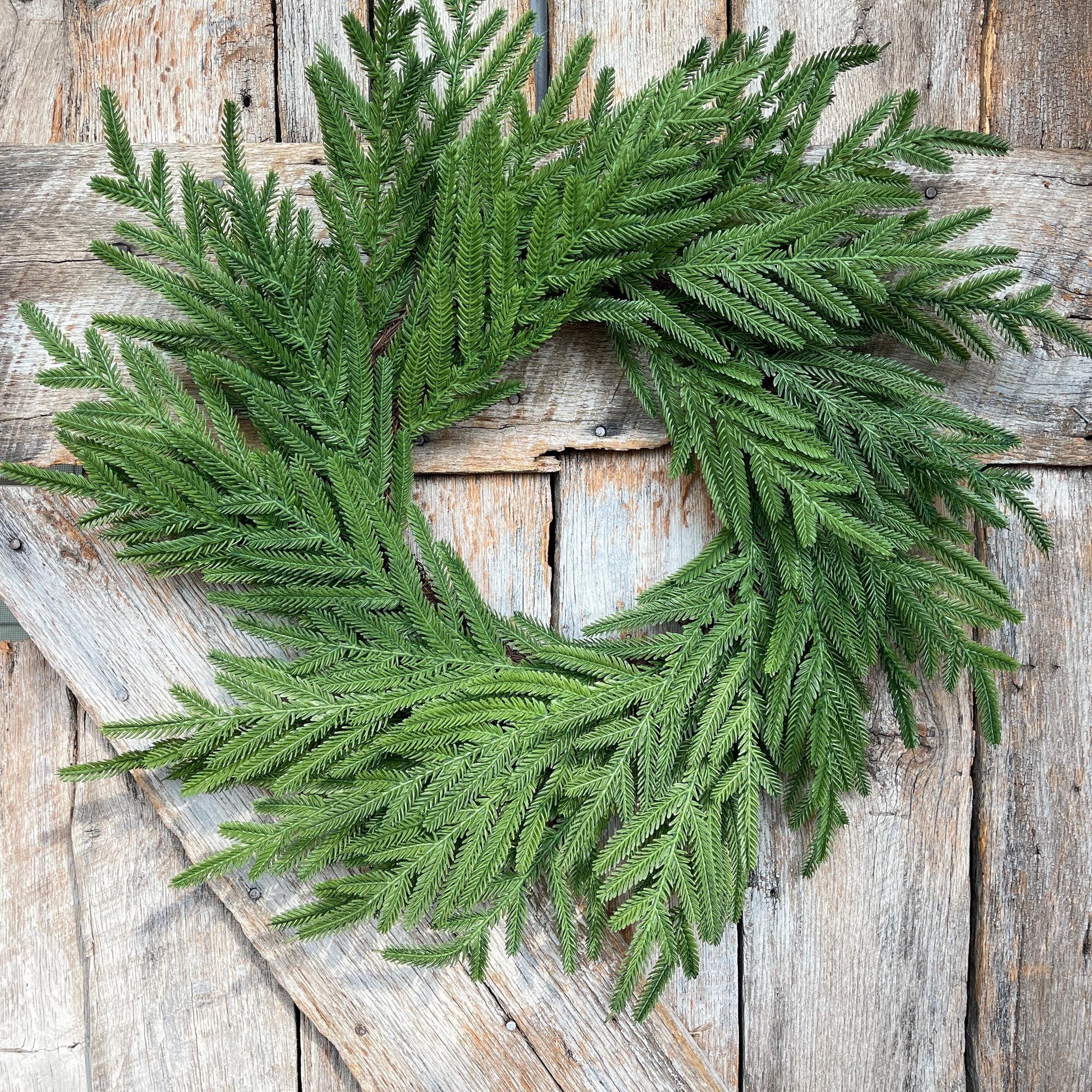 24" Norfolk Pine Wreath, Real Touch Norfolk Pine Wreath, Artificial Pine Wreath