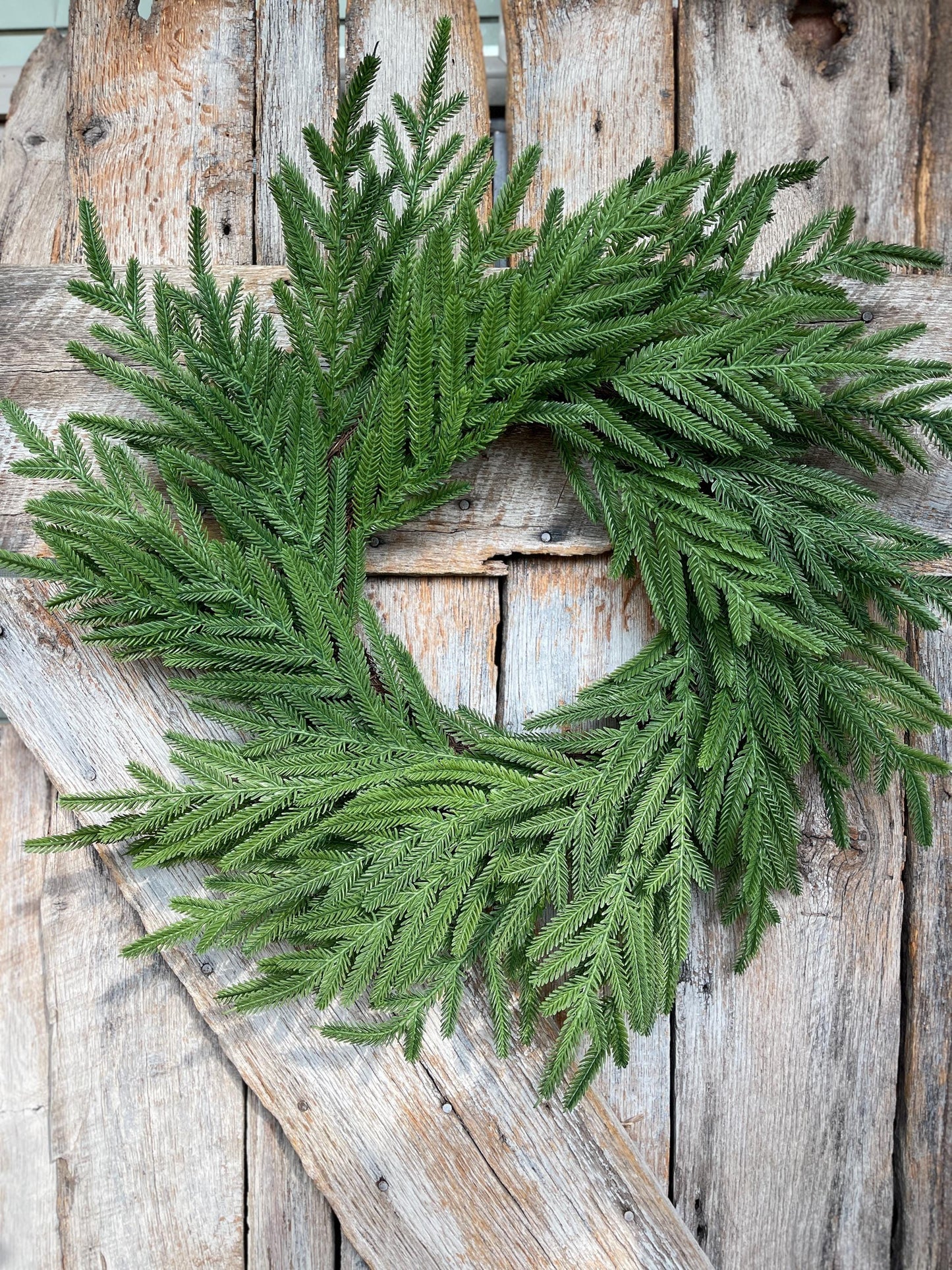 24" Norfolk Pine Wreath, Real Touch Norfolk Pine Wreath, Artificial Pine Wreath