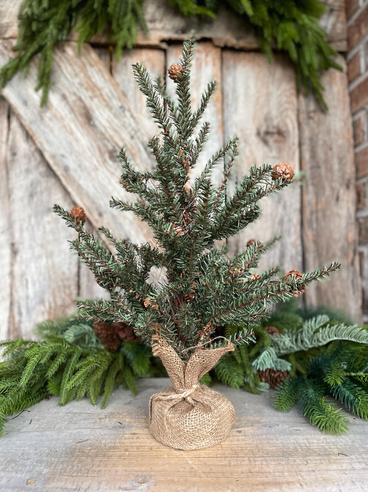 18" Tabletop Christmas Tree, Douglas Fir Seedling Tree, Artificial Tree