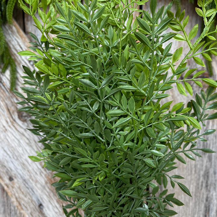 19.5" Greenery Bush, UV Rated Artificial Greenery, Angelica Greenery Bush