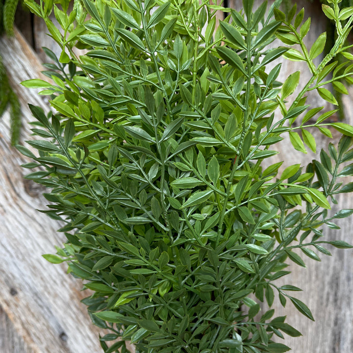19.5" Greenery Bush, UV Rated Artificial Greenery, Angelica Greenery Bush