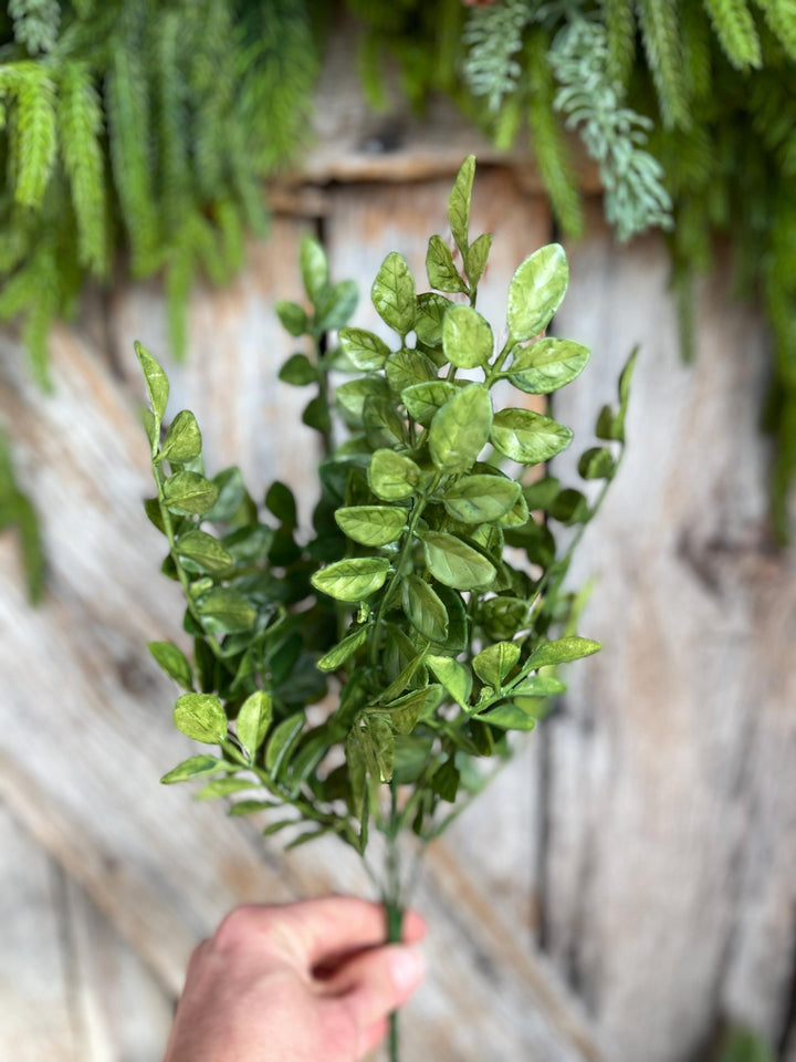 15" Greenery Bush, Wisteria Leaves Bush