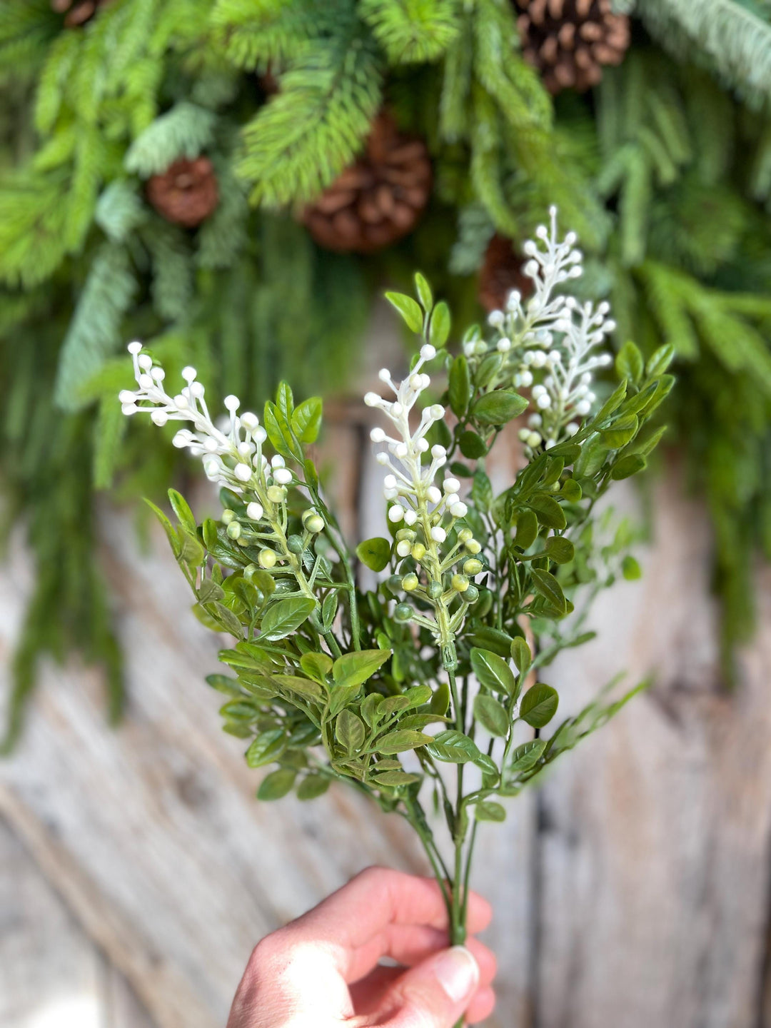 14" Sedium Greenery Bush, Sedium Leaves Bush