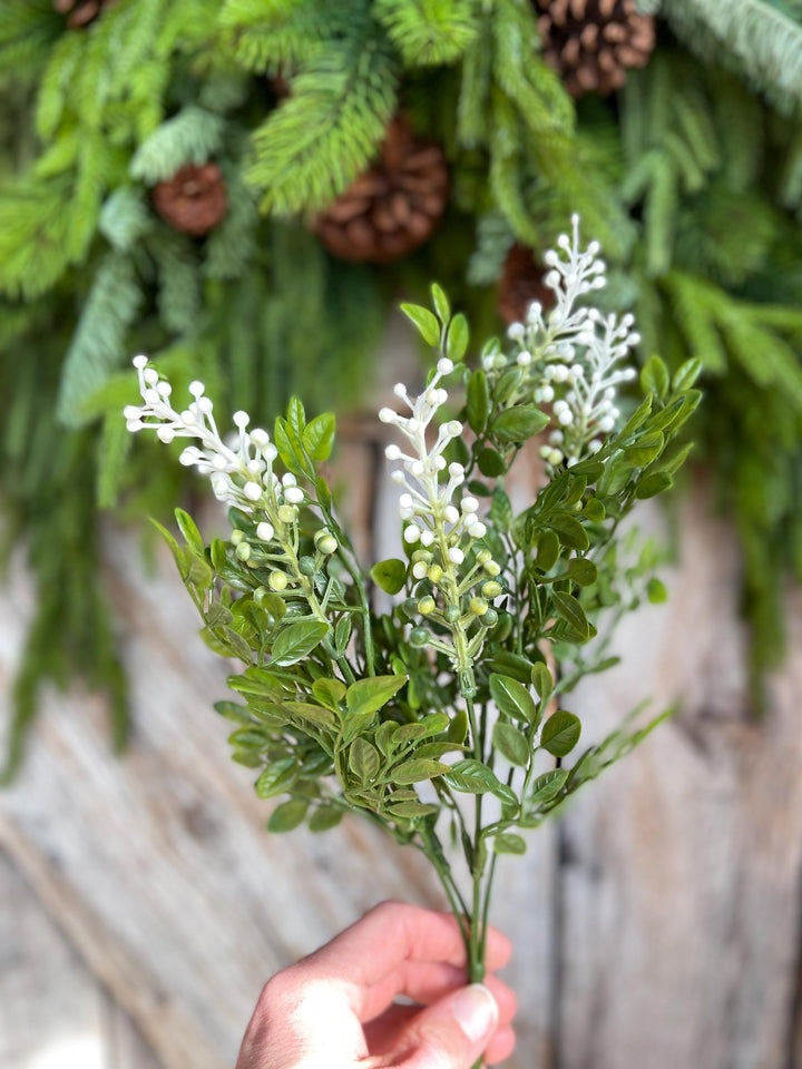 14" Sedium Greenery Bush, Sedium Leaves Bush