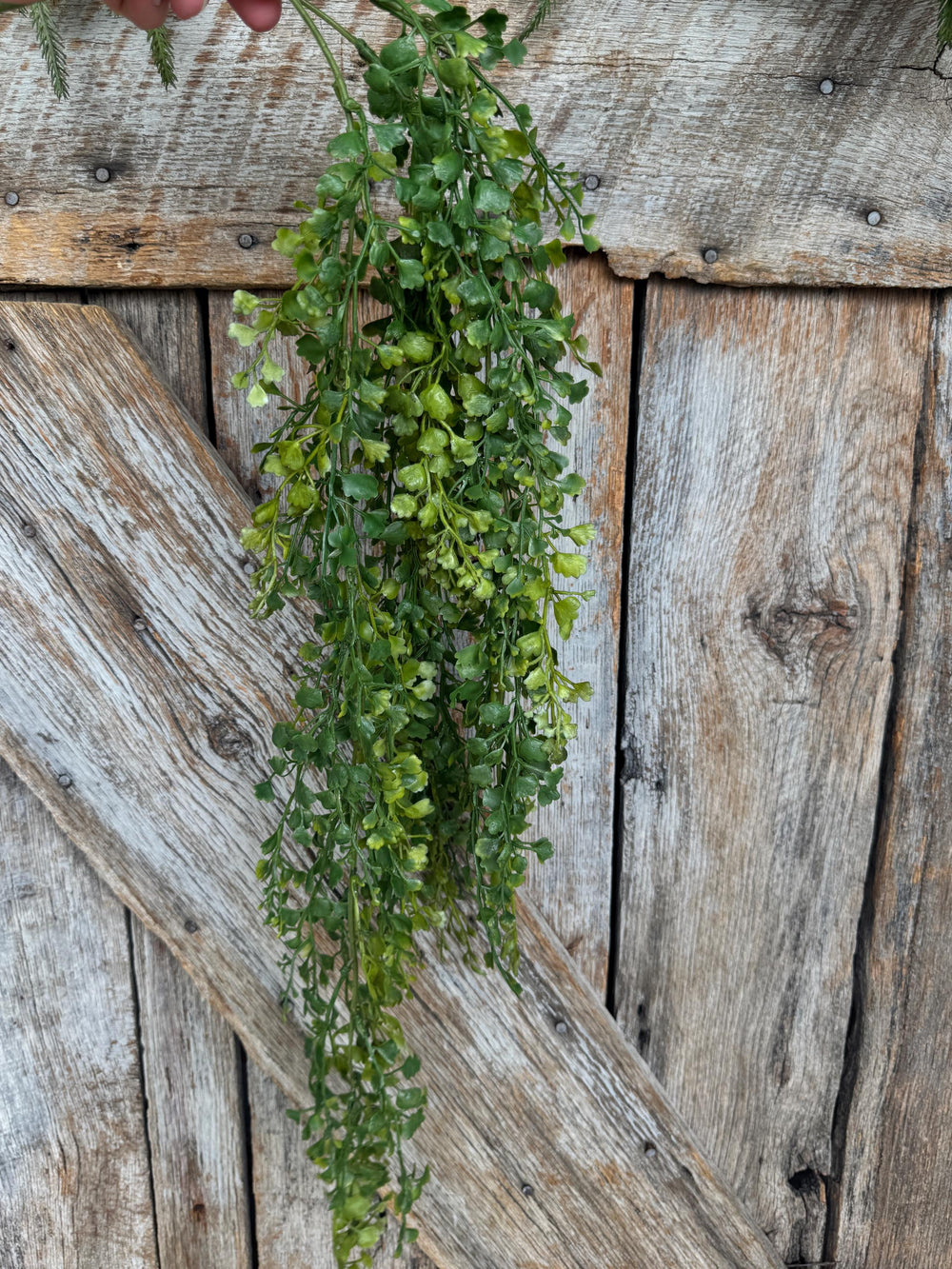 33" Hanging Maiden Hair Bush, Hanging Greenery Bush