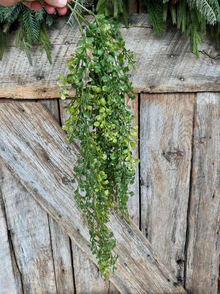 33" Hanging Maiden Hair Bush, Hanging Greenery Bush
