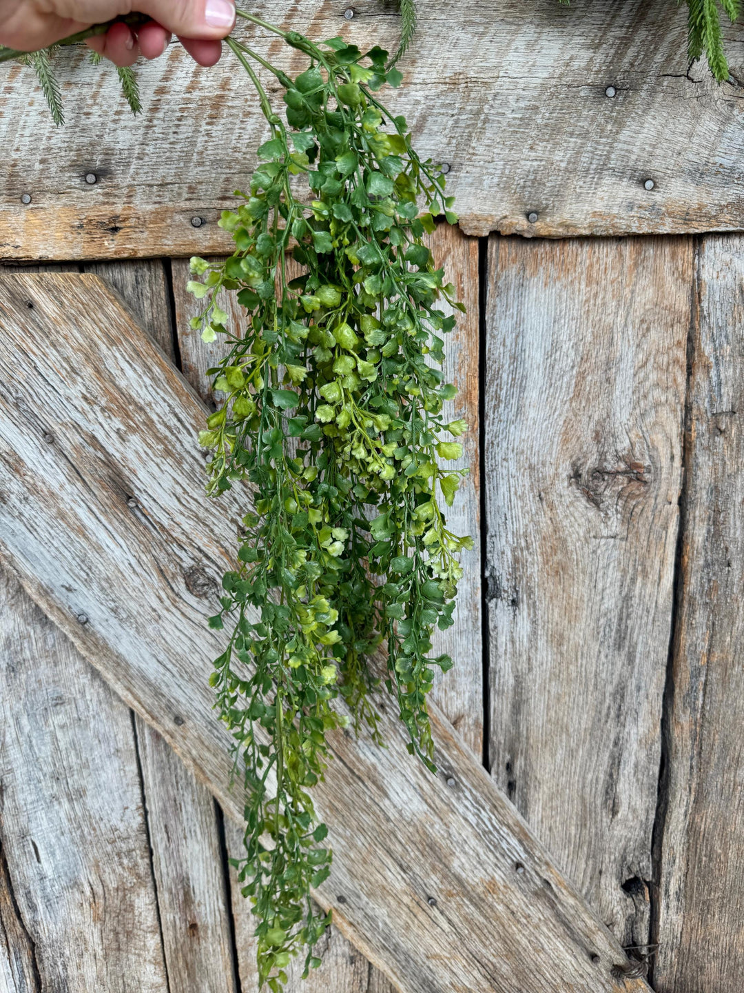 33" Hanging Maiden Hair Bush, Hanging Greenery Bush