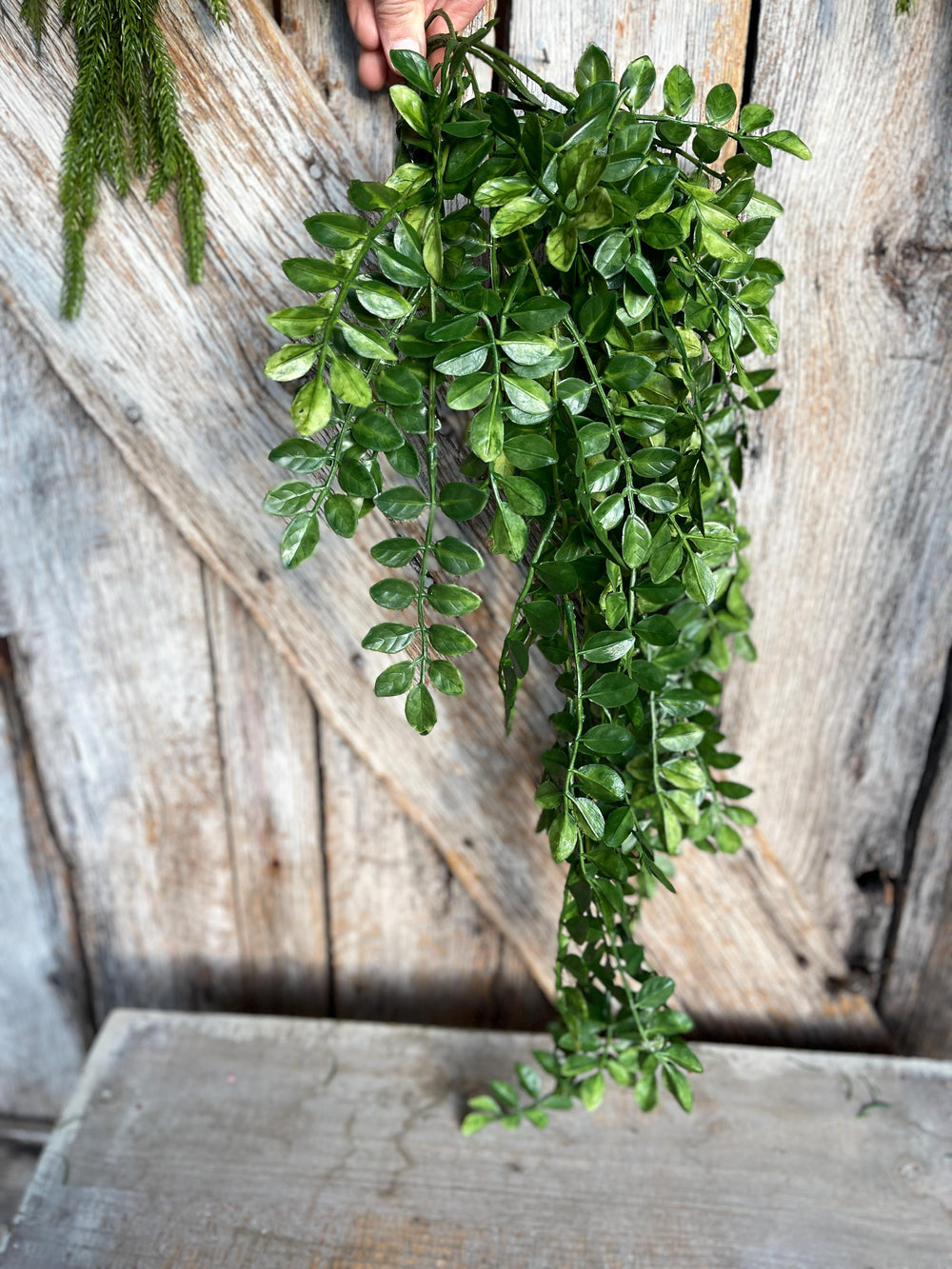 36" Hanging Greenery Bush, Wisteria Hanging Bush, 13681GN